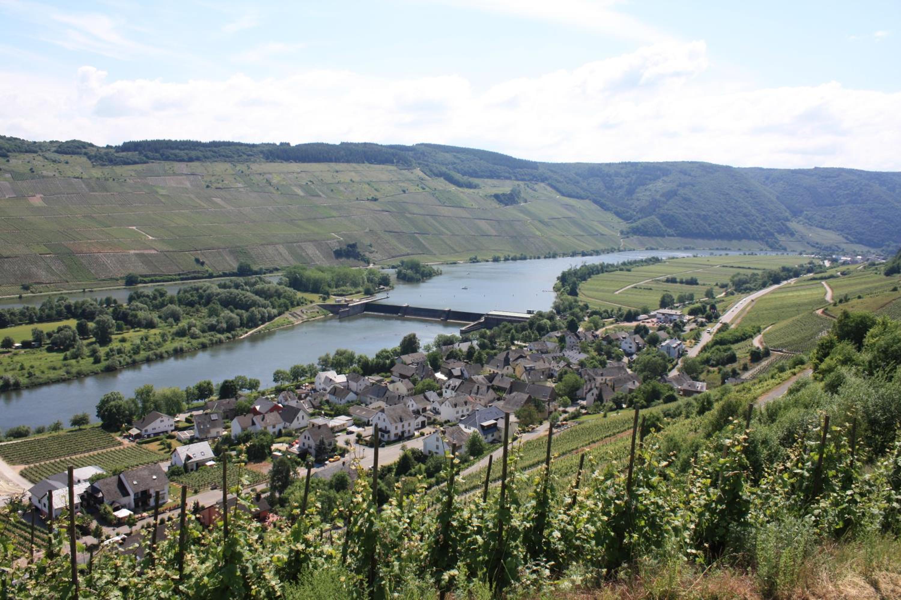 Moseltraum Alte Schmiede