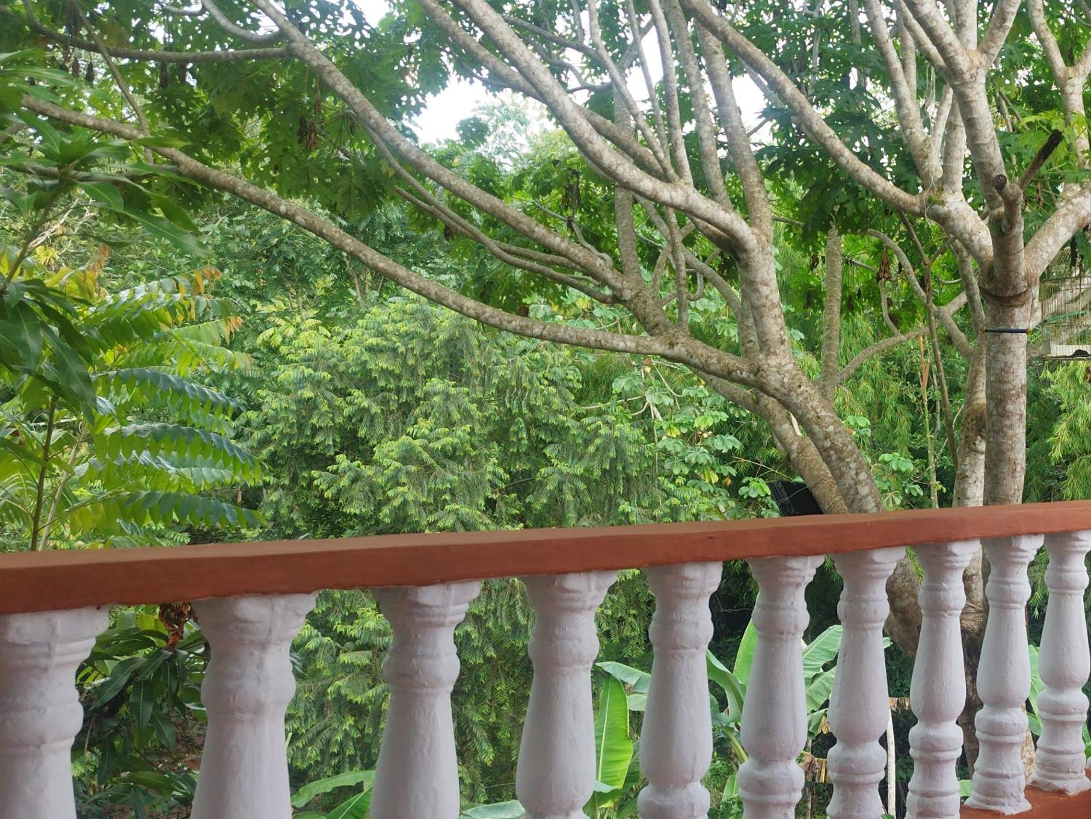 Cabaña Campestre