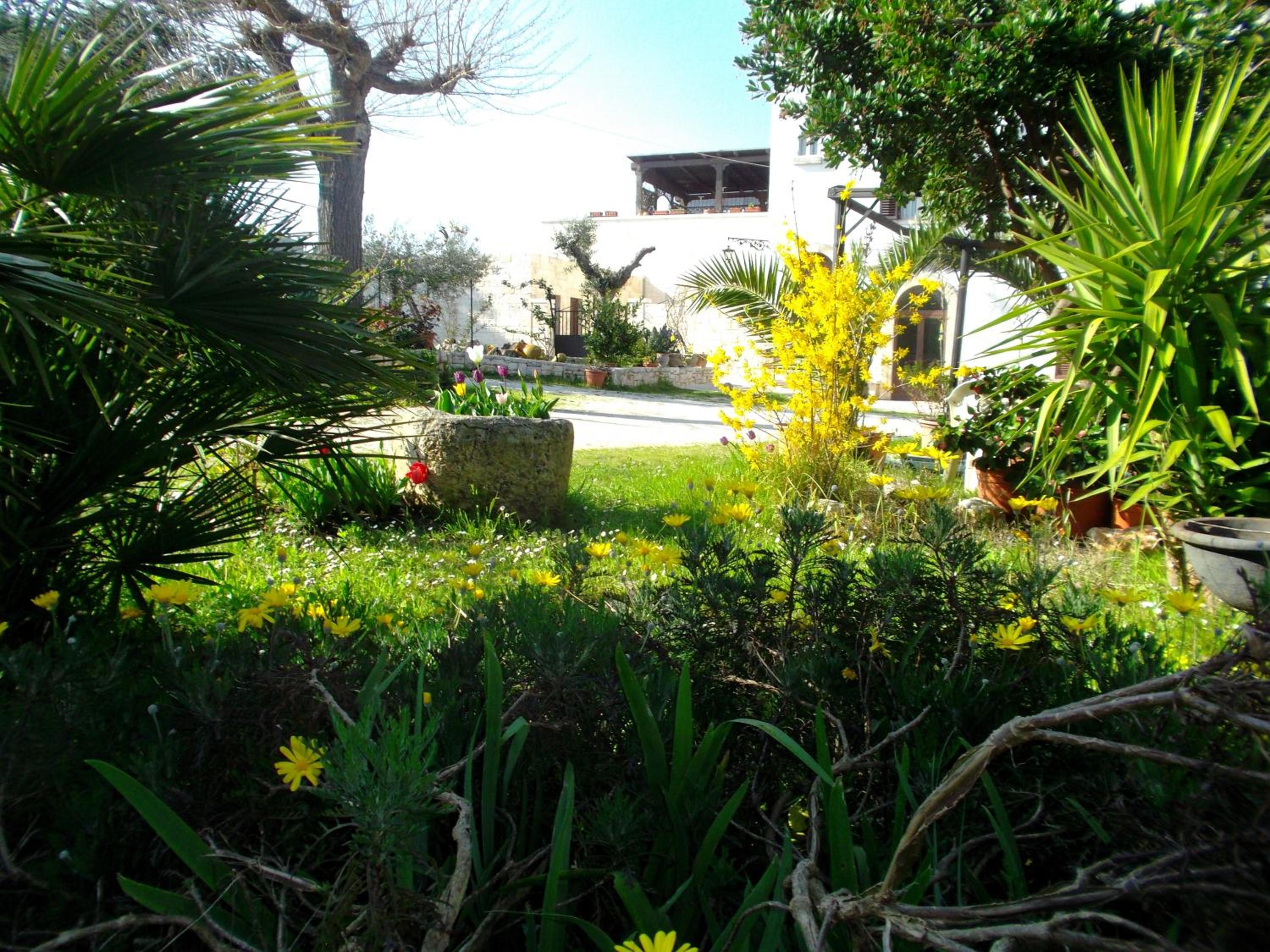 Photo 8