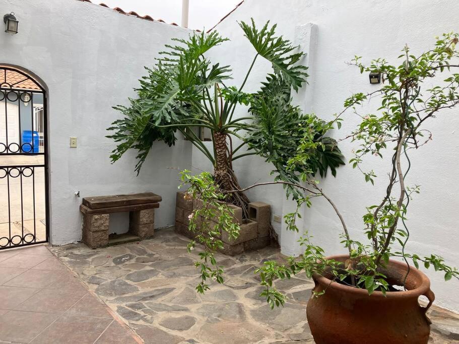 Casa para toda la familia