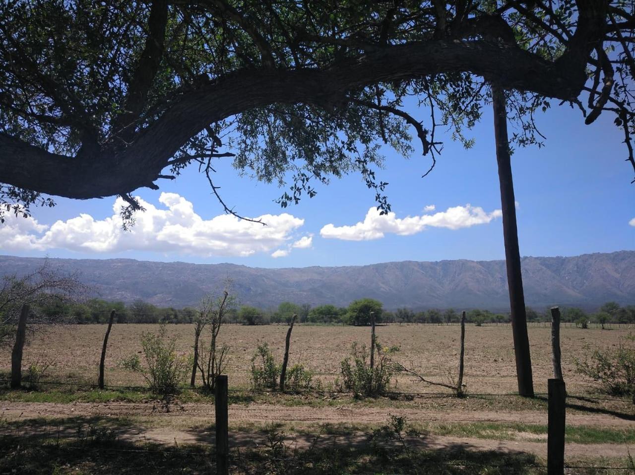Cabañas el Ñato