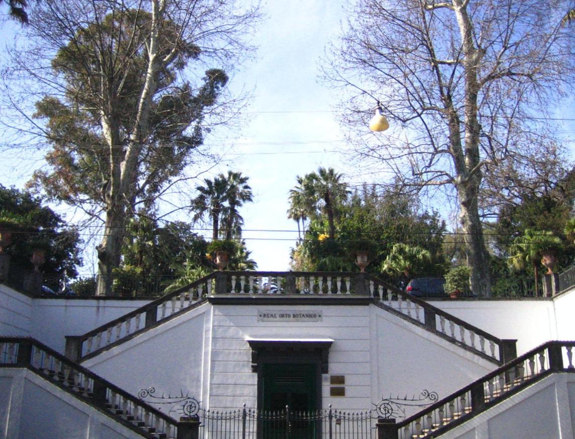 IRA HOUSE