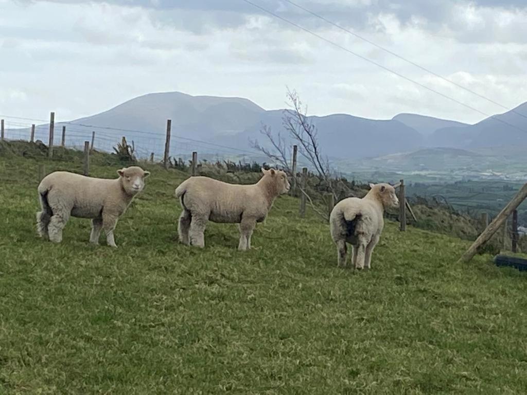 Hillhead Country Retreat