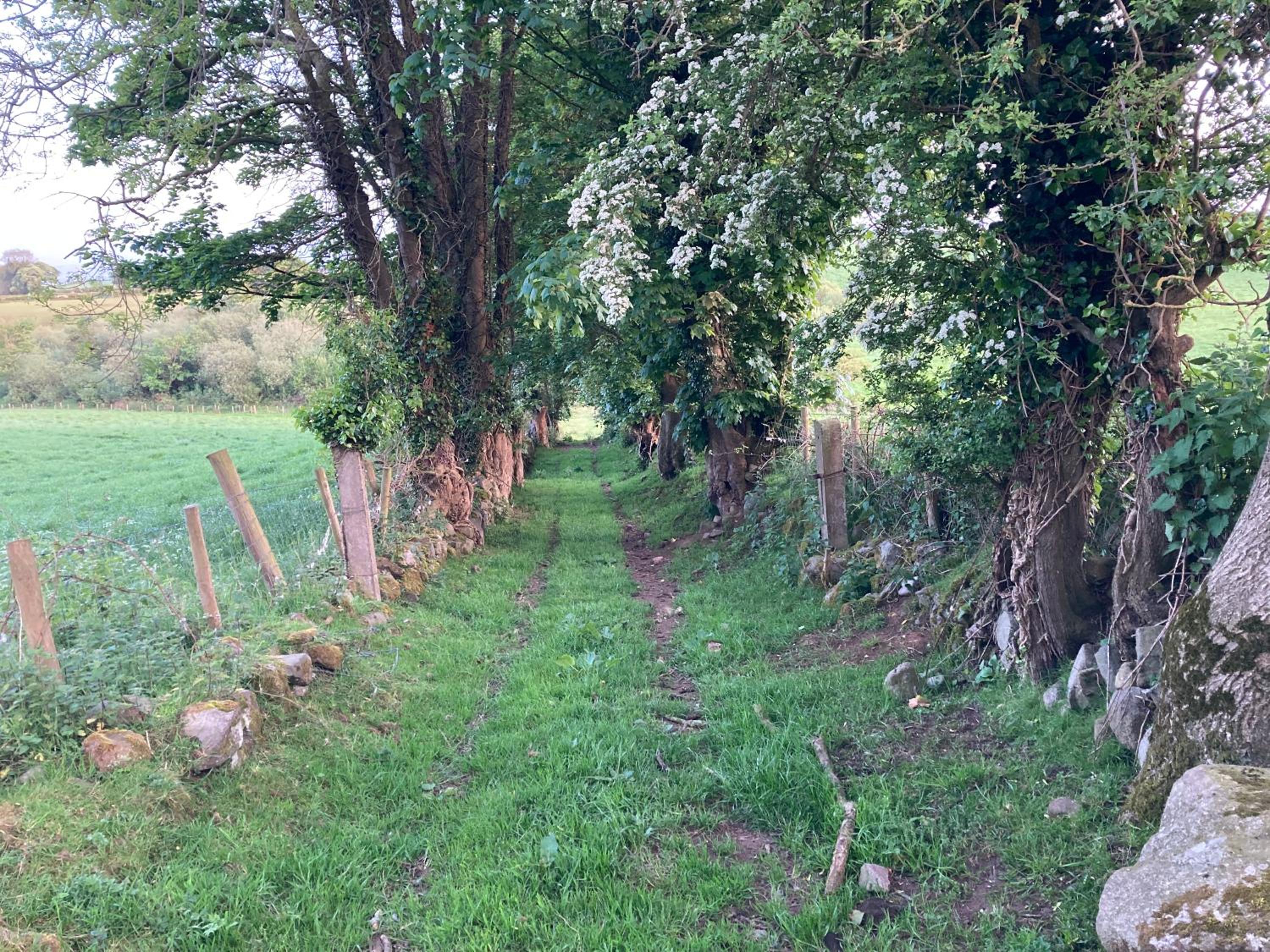 Hillhead Country Retreat
