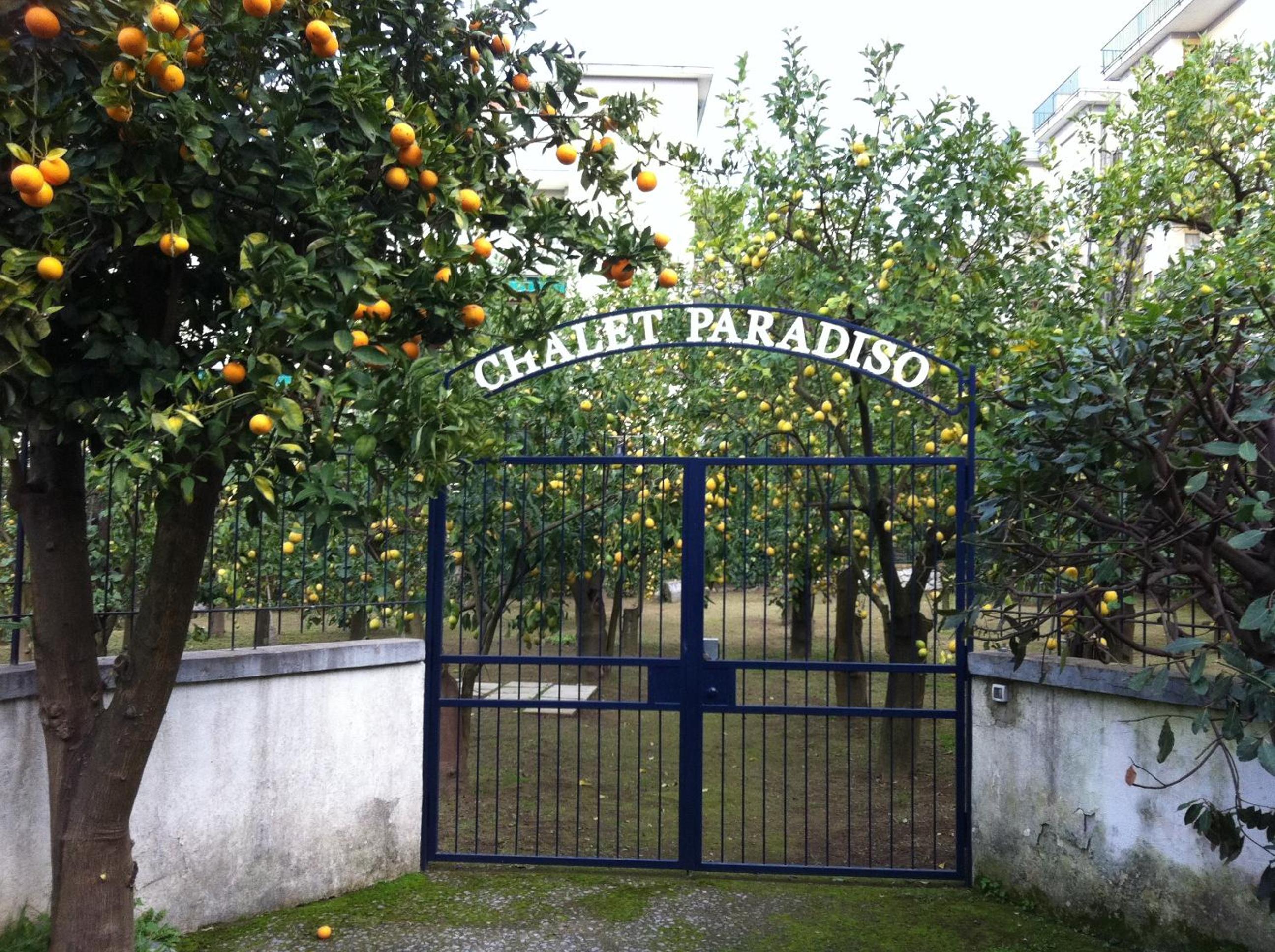 Photo 18