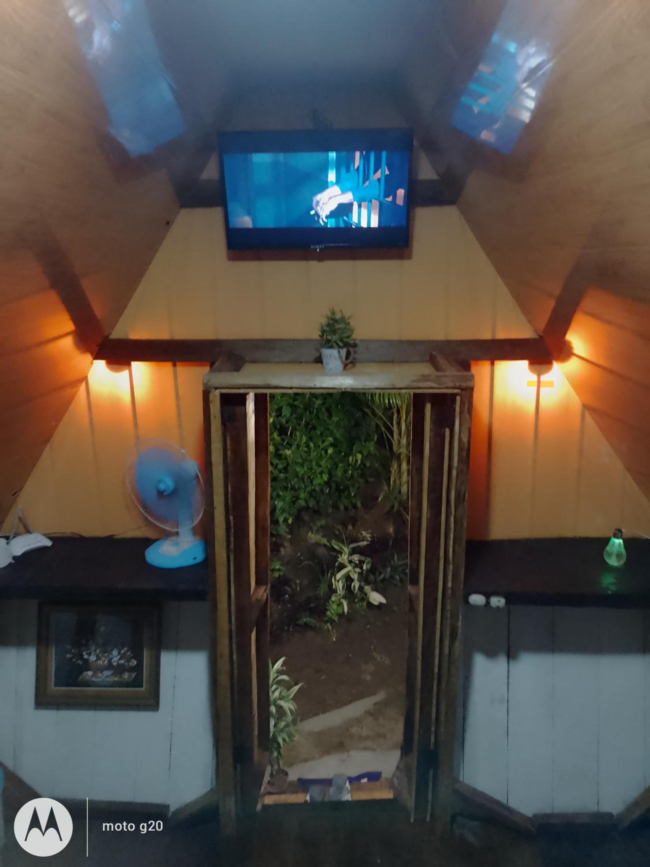 Cabaña bosque río celeste