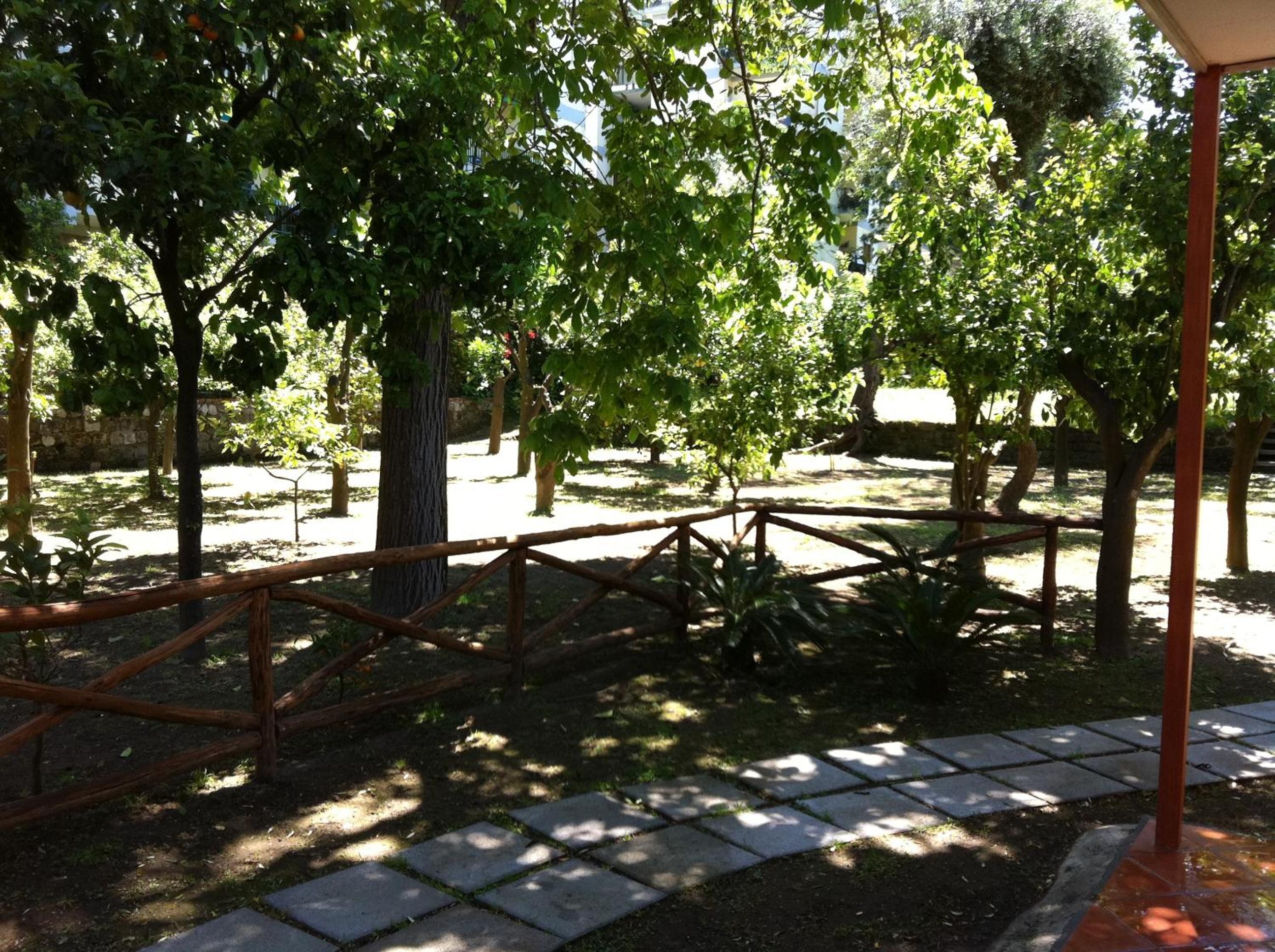 Photo 21