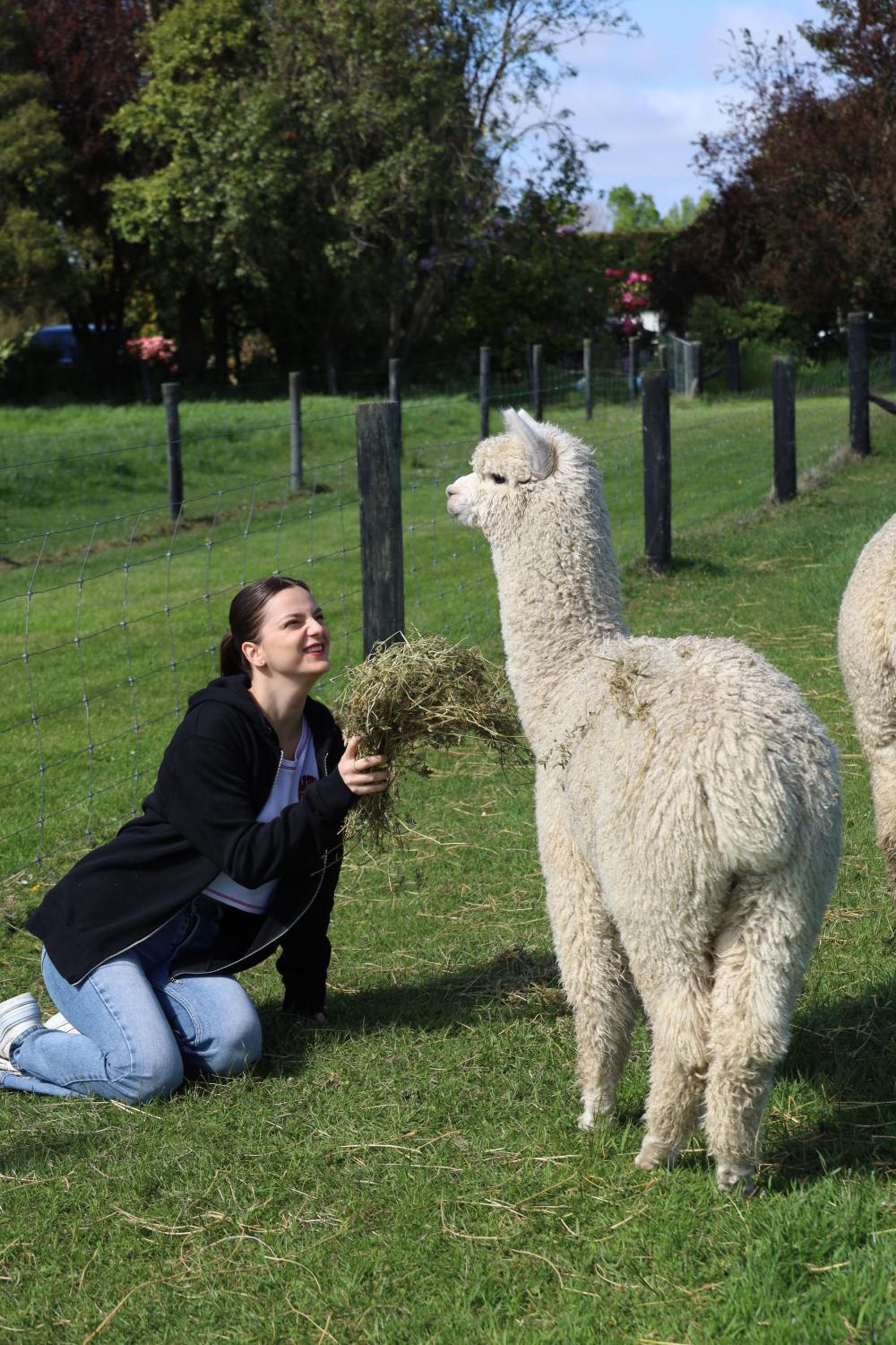 Silverstream Alpaca Farmstay & Tour