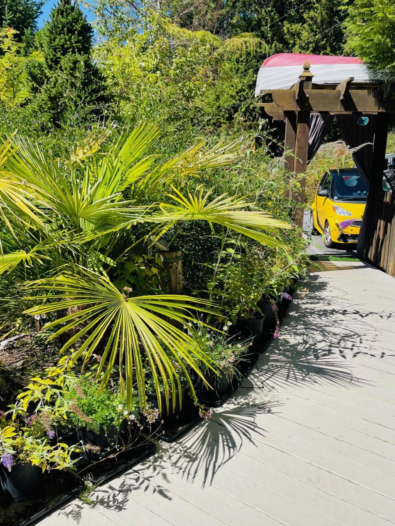 The Tuwanek Bed and Breakfast