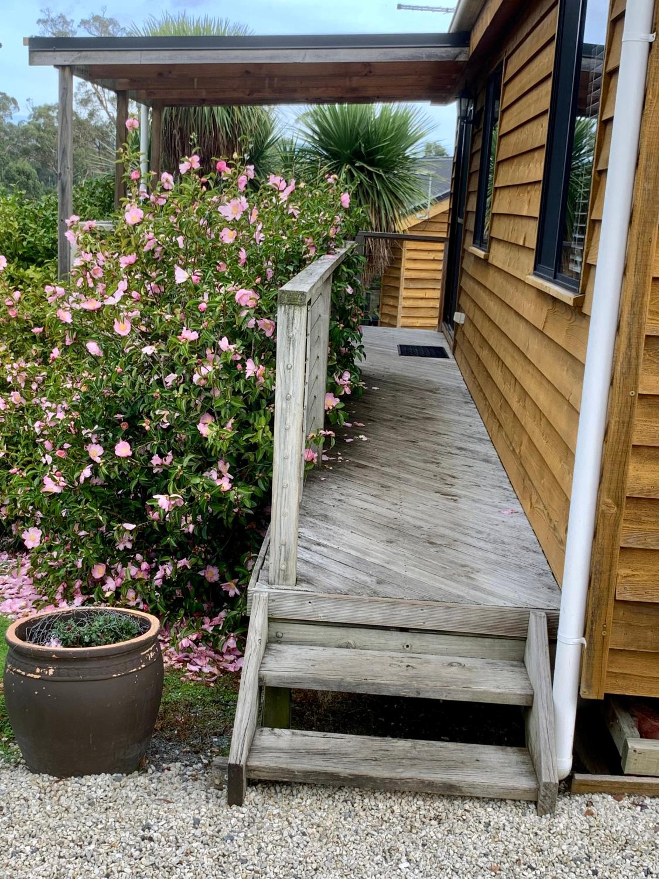 Hazelcreek Cottages