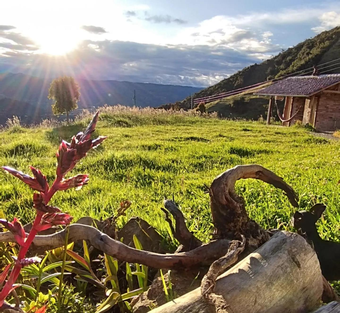 Cabaña Lato_puzhio