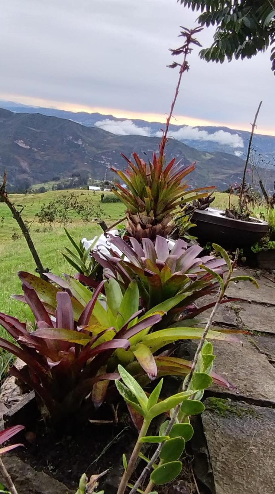 Cabaña Lato_puzhio
