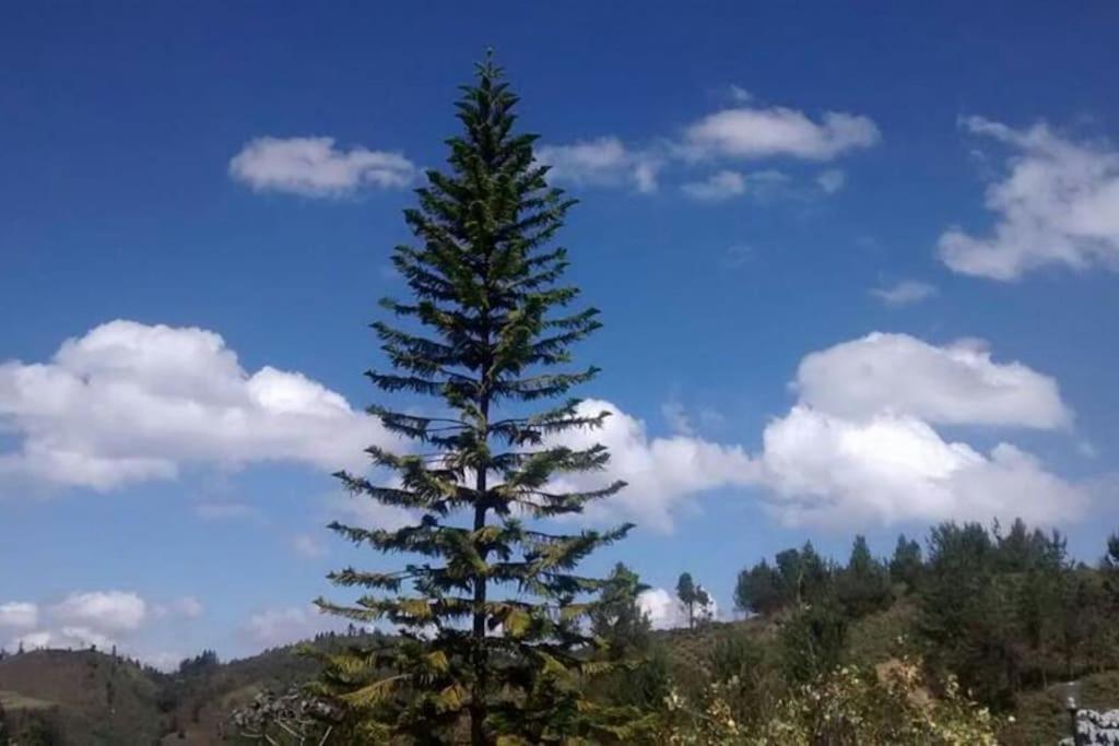 Finca Campestre en Guarne
