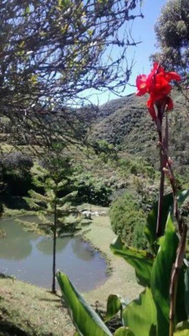 Finca Campestre en Guarne