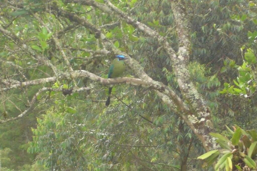 Finca Campestre en Guarne