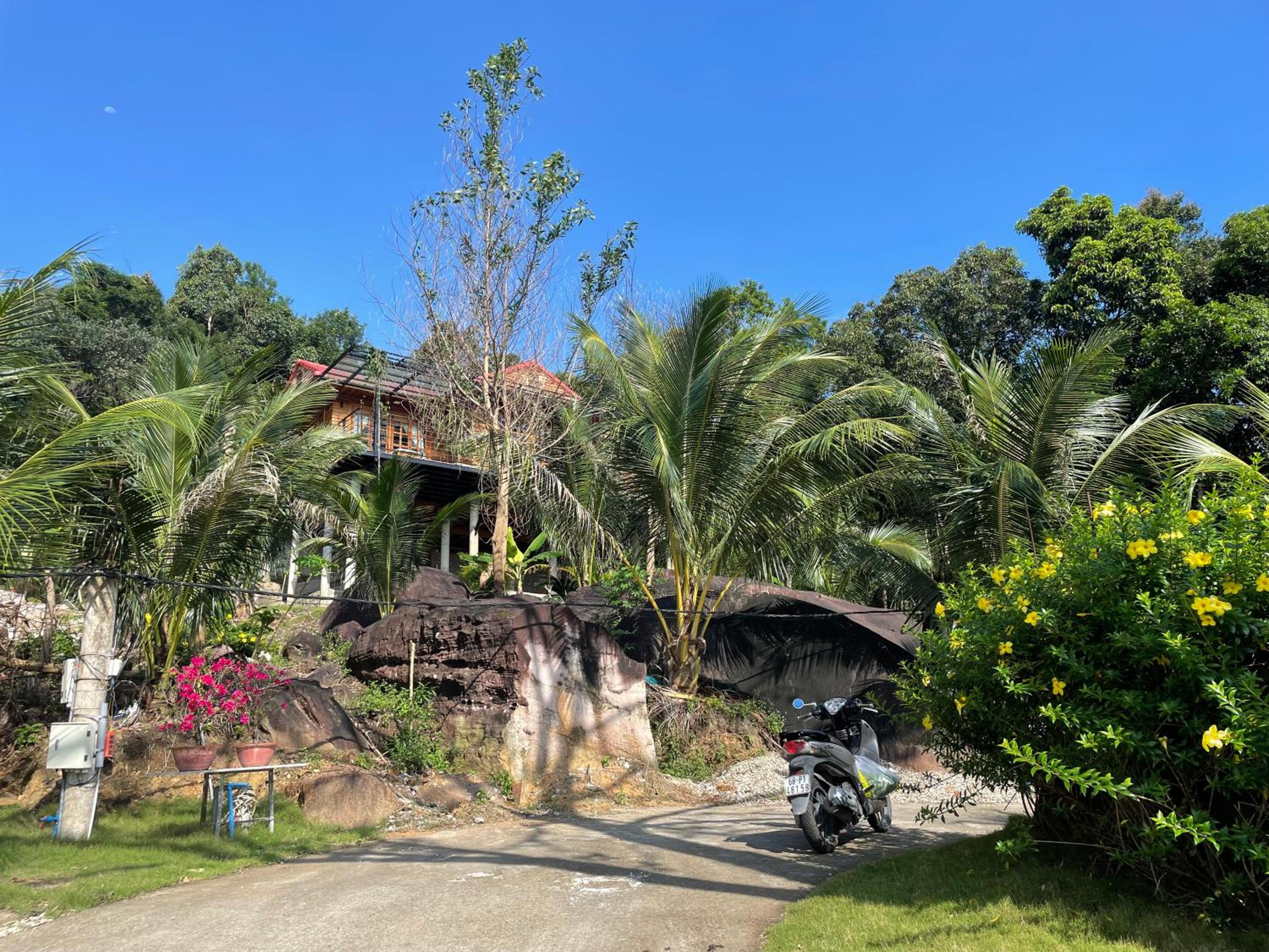 Ong Vinh House - Living Among Nature ! view 2