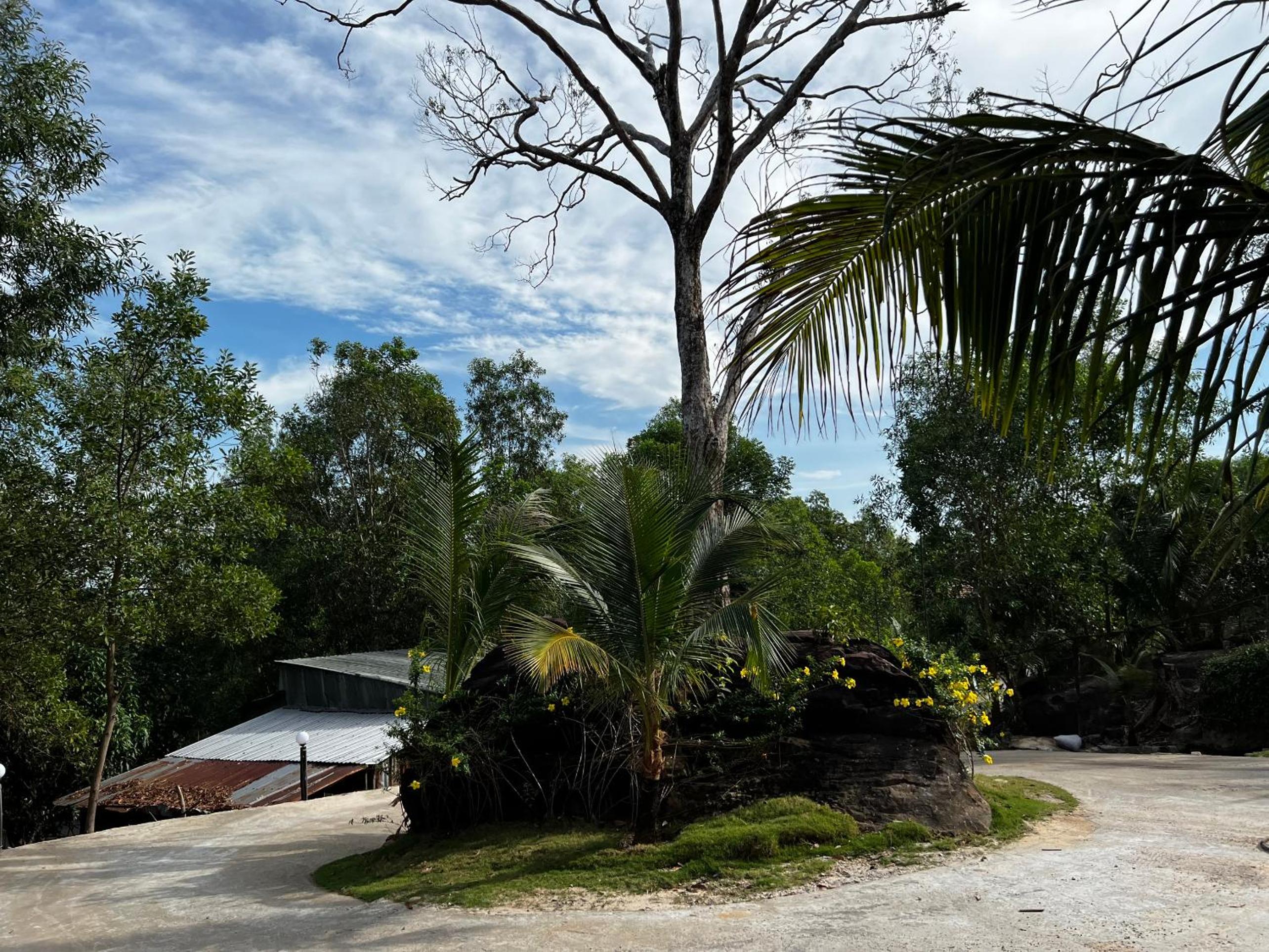 Ong Vinh House - Living Among Nature ! view 4