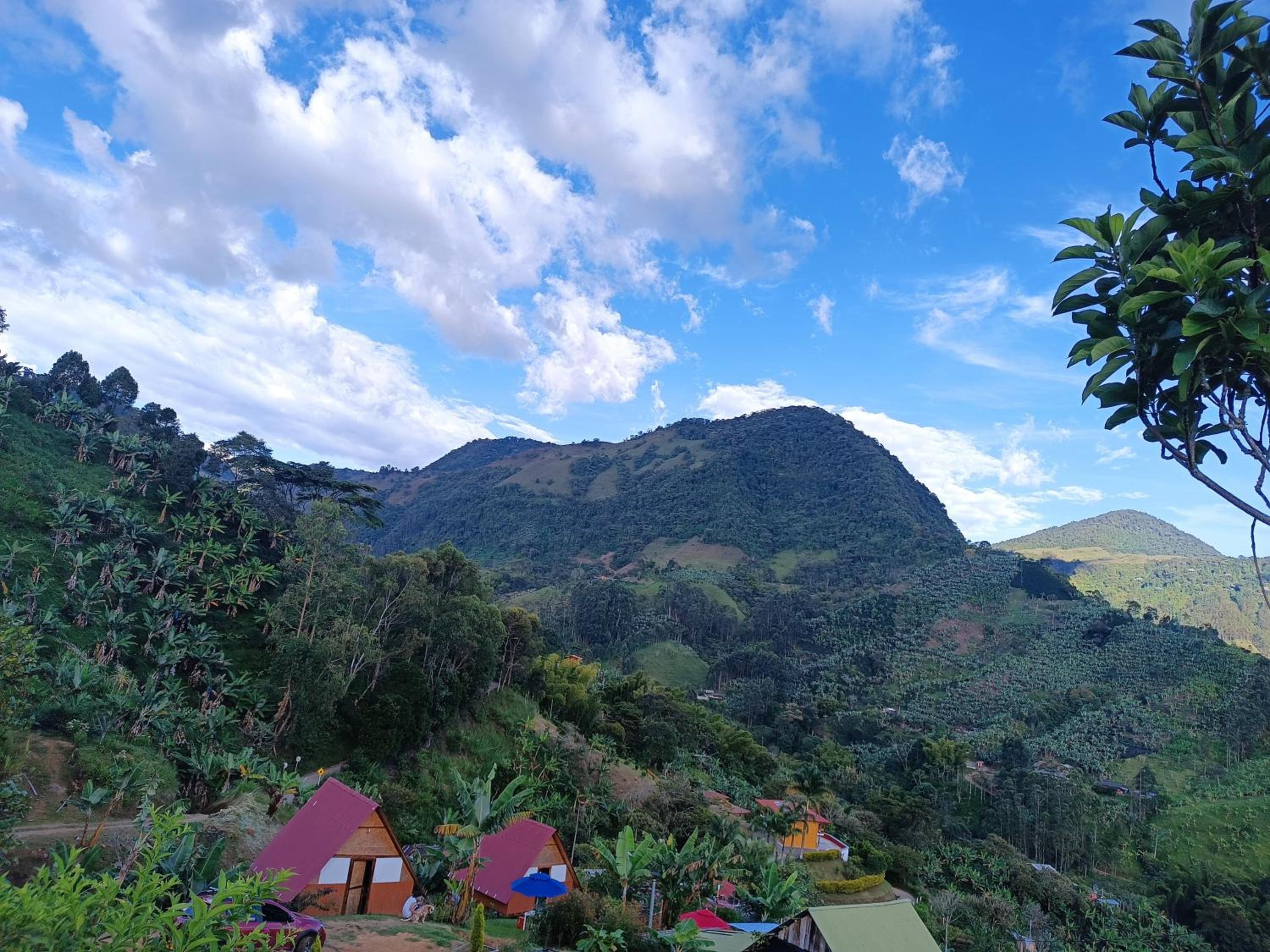 Cabañas Villa Loe