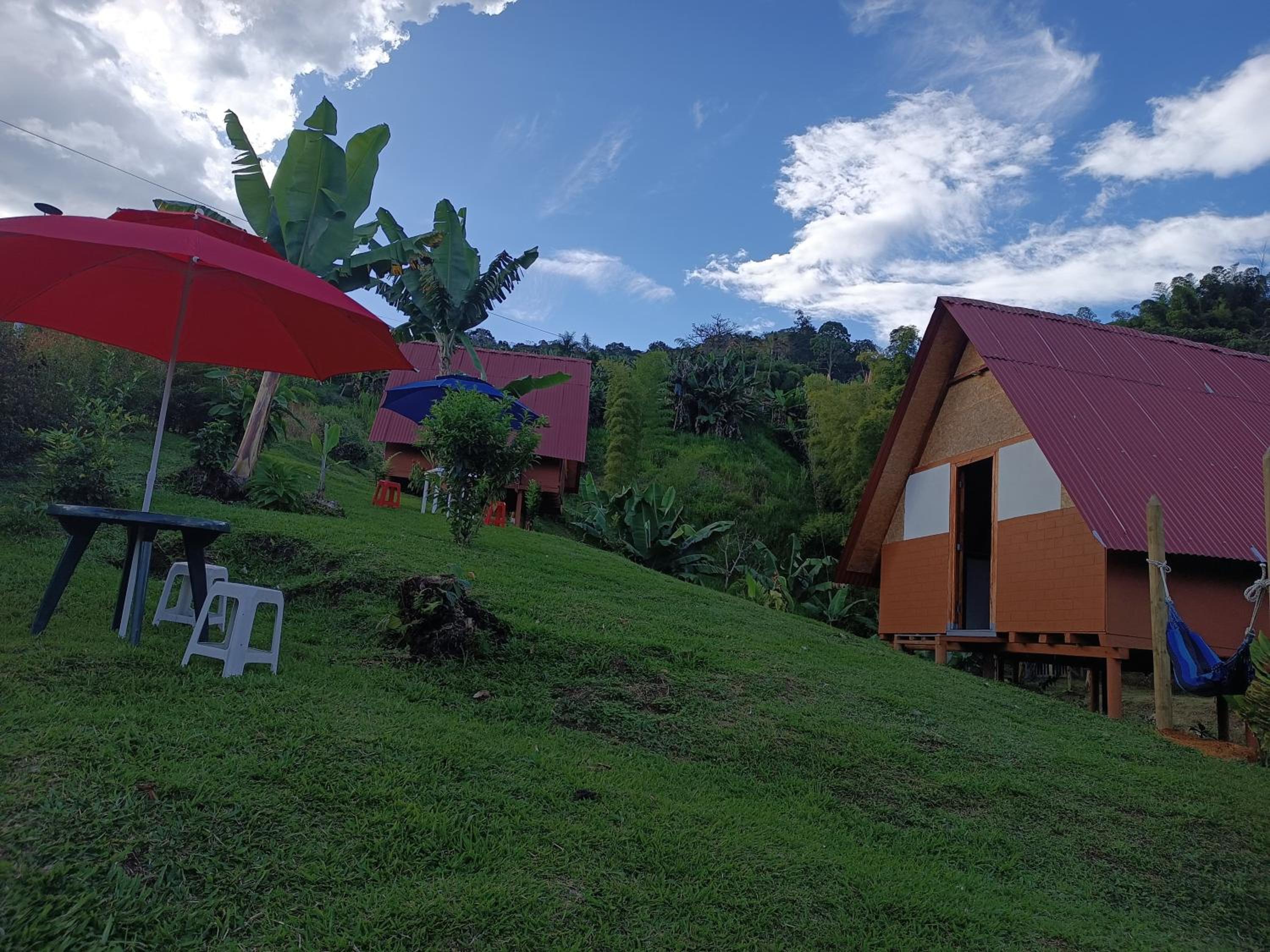 Cabañas Villa Loe