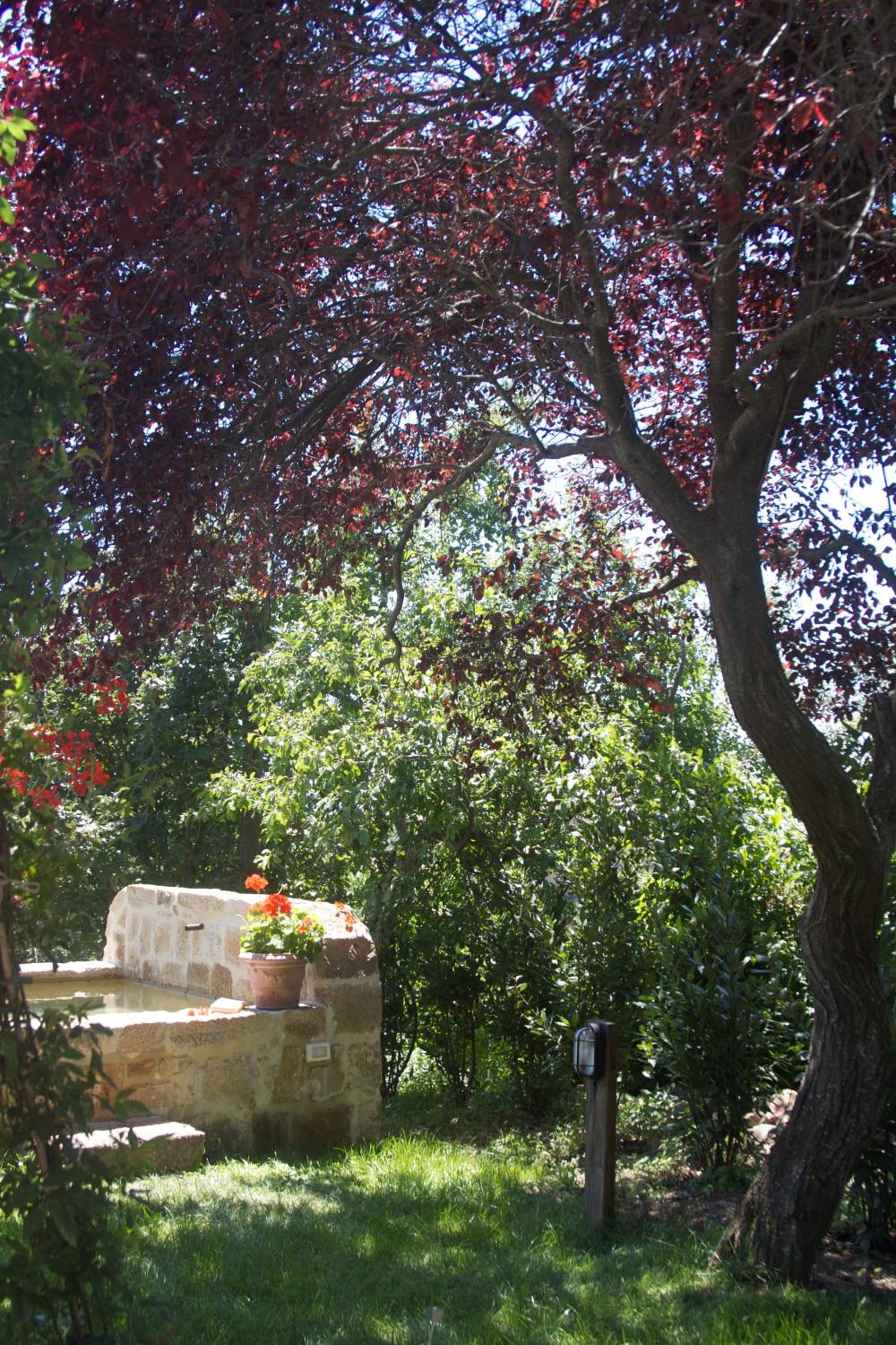 B&B Daria - Deb'S Monticchiello