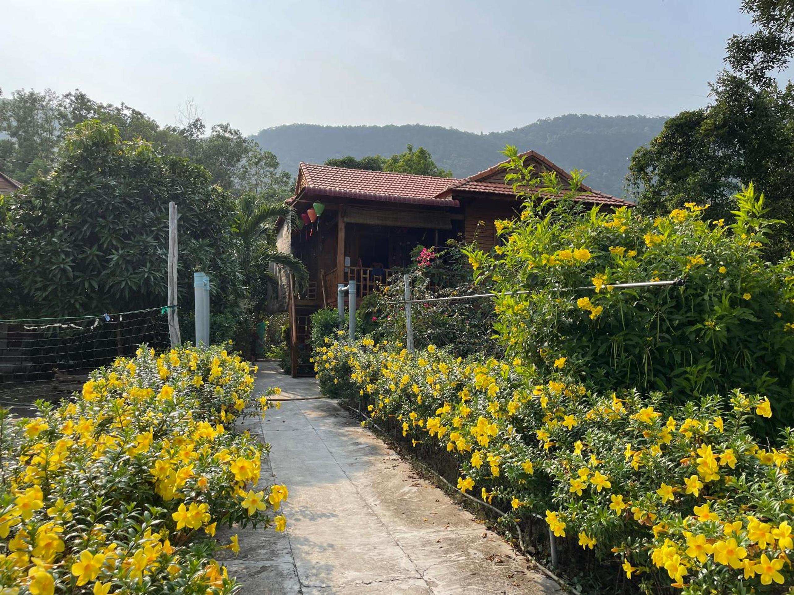 Nana Home, Entire Amazing Wooden Chalet