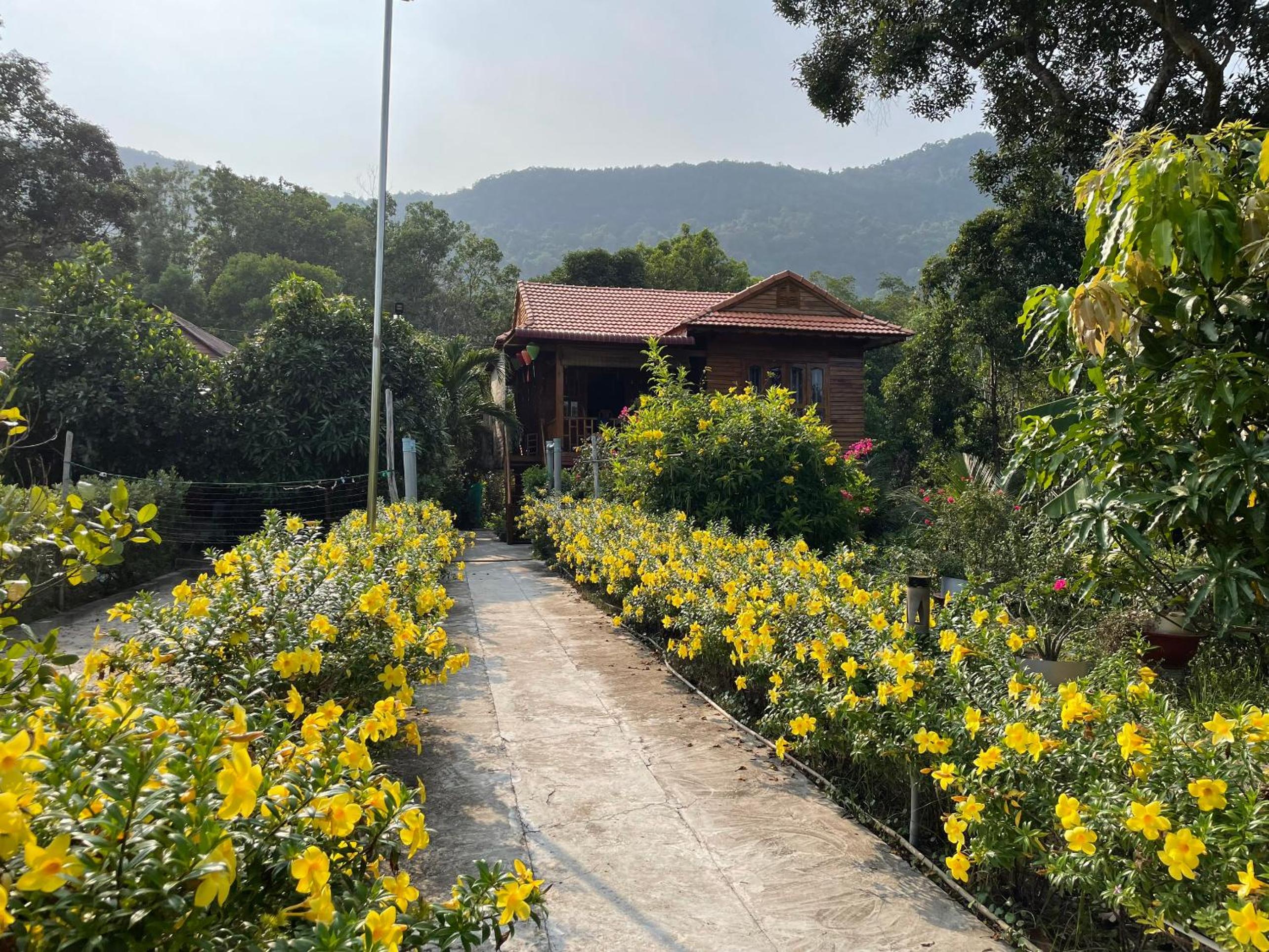 Nana Home, Entire Amazing Wooden Chalet