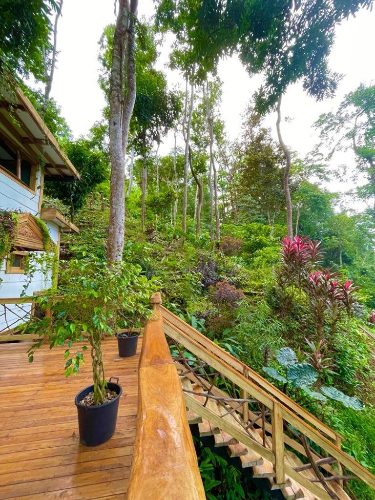 Jungle Spirit Treehouse