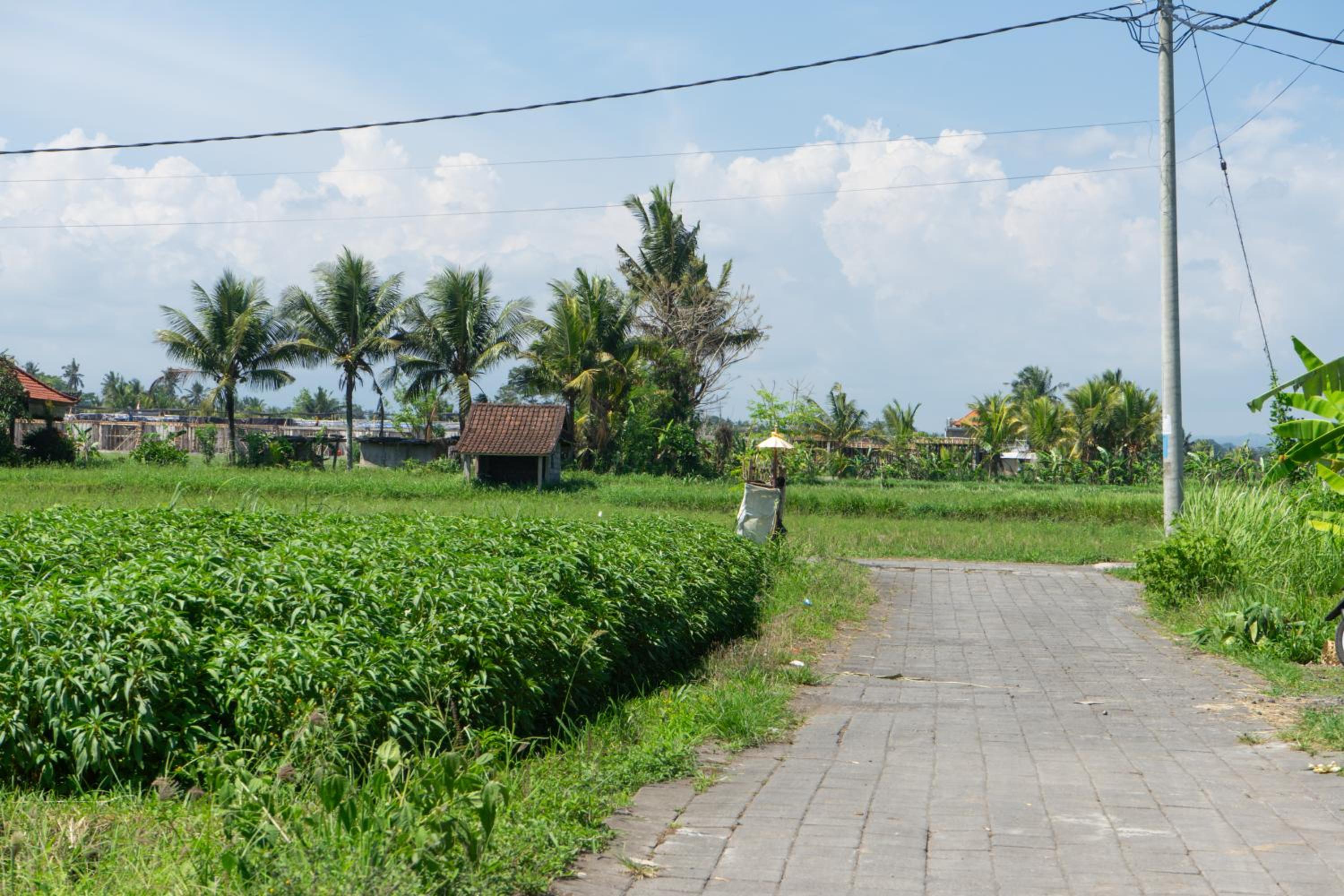 KRISNA TAPAN GUEST HOUSE view 2