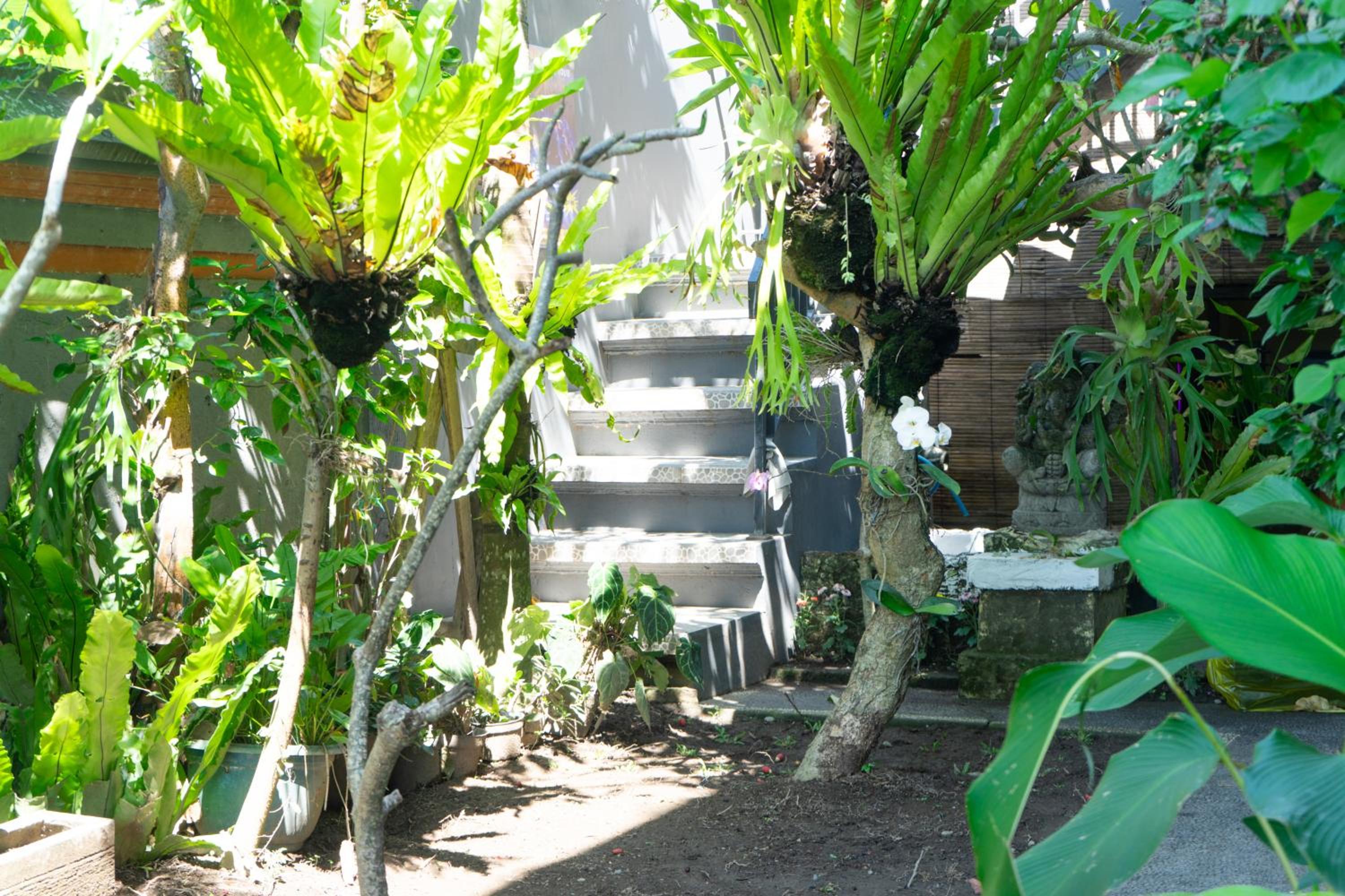 KRISNA TAPAN GUEST HOUSE view 4