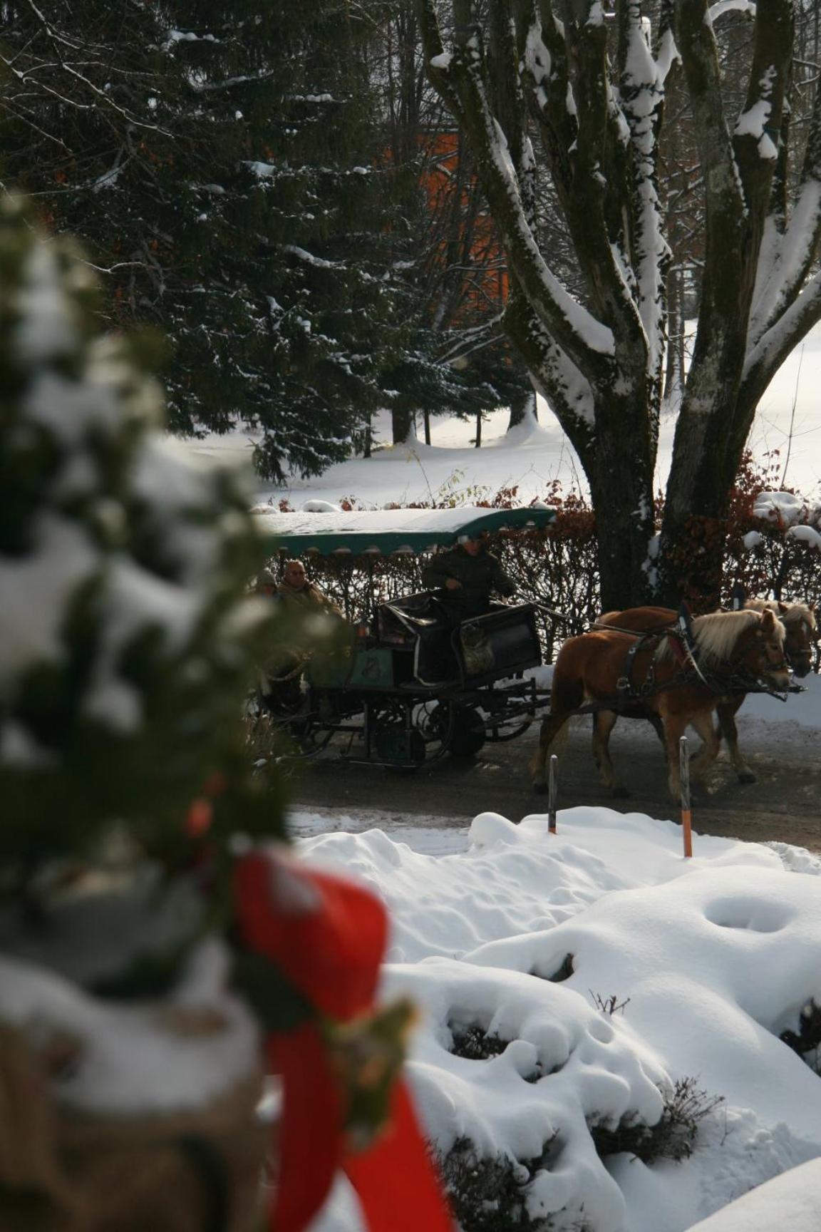 Pension Wolfgangsee