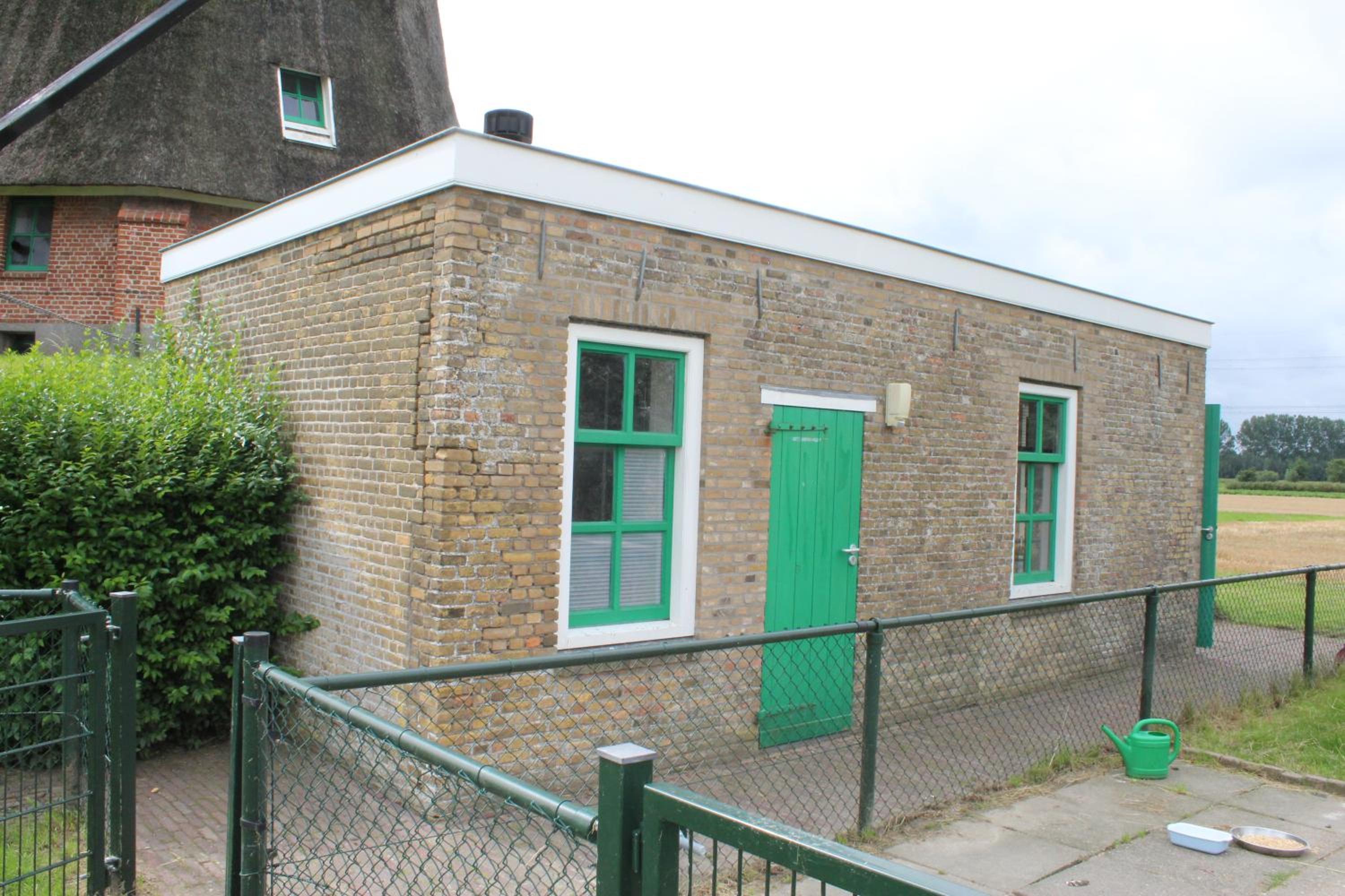 Photo 11
