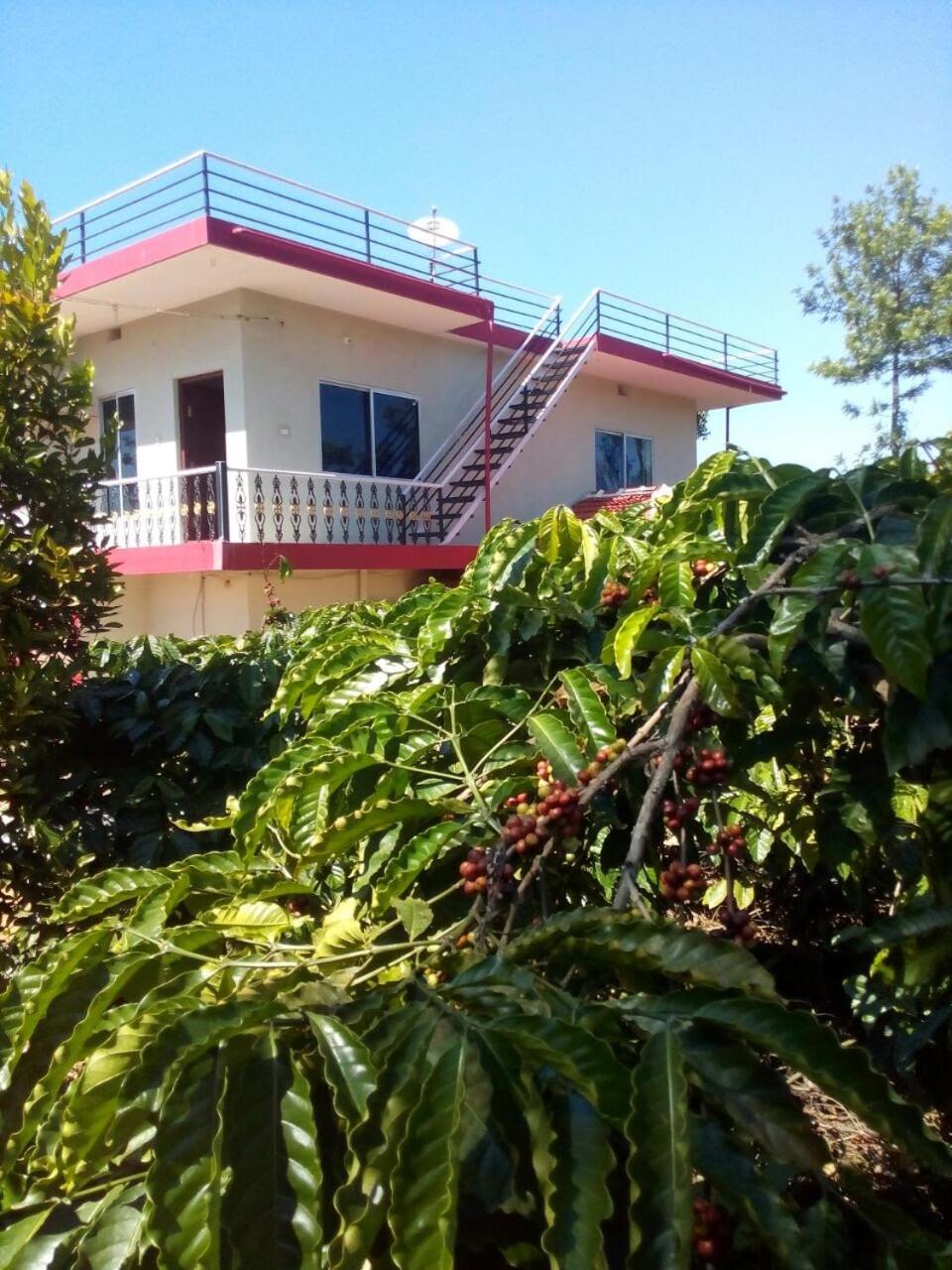 NITHIN HOMESTAY, 3 bedrooms and 1 living room. view 2