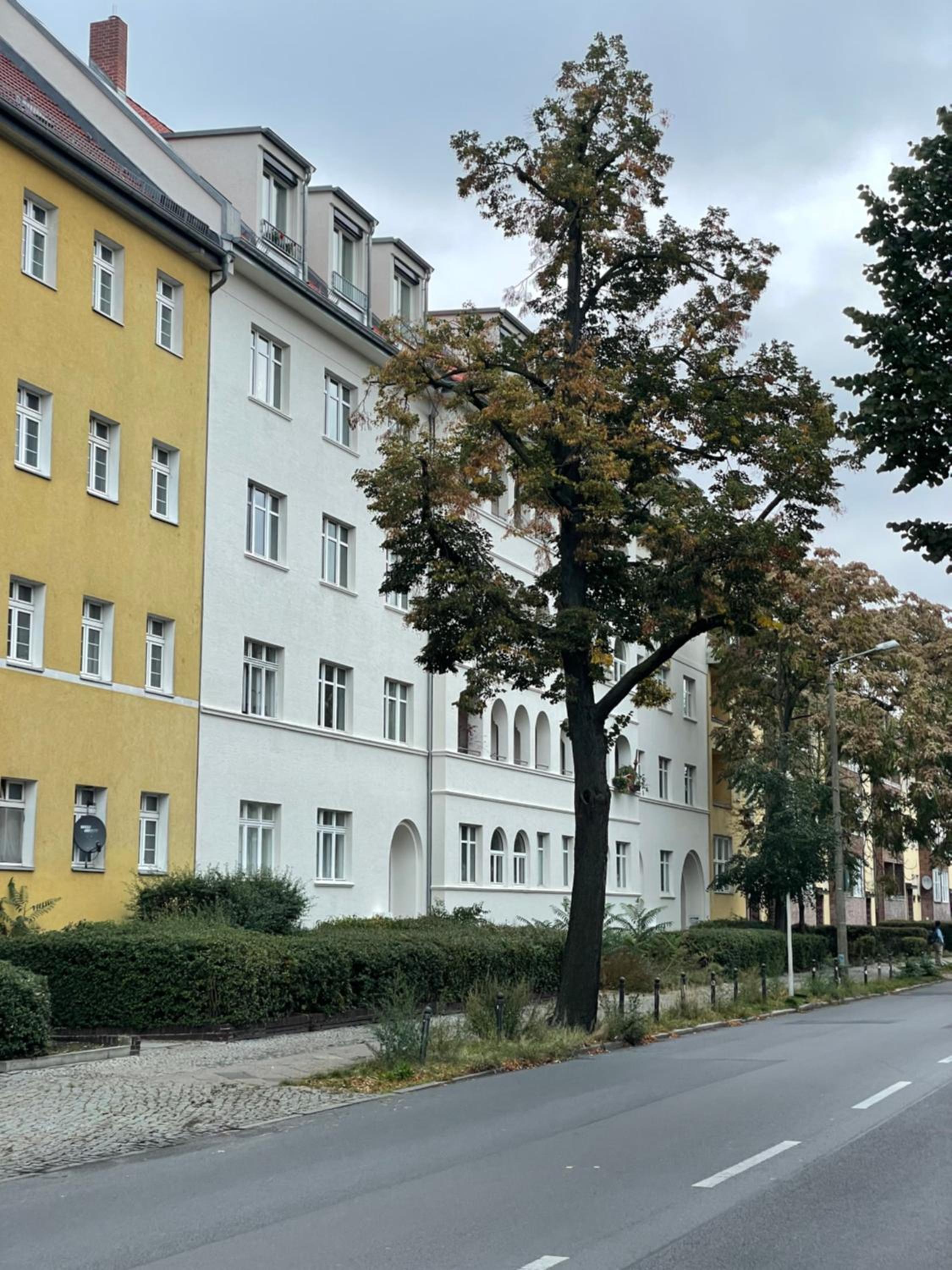 AnnApartment