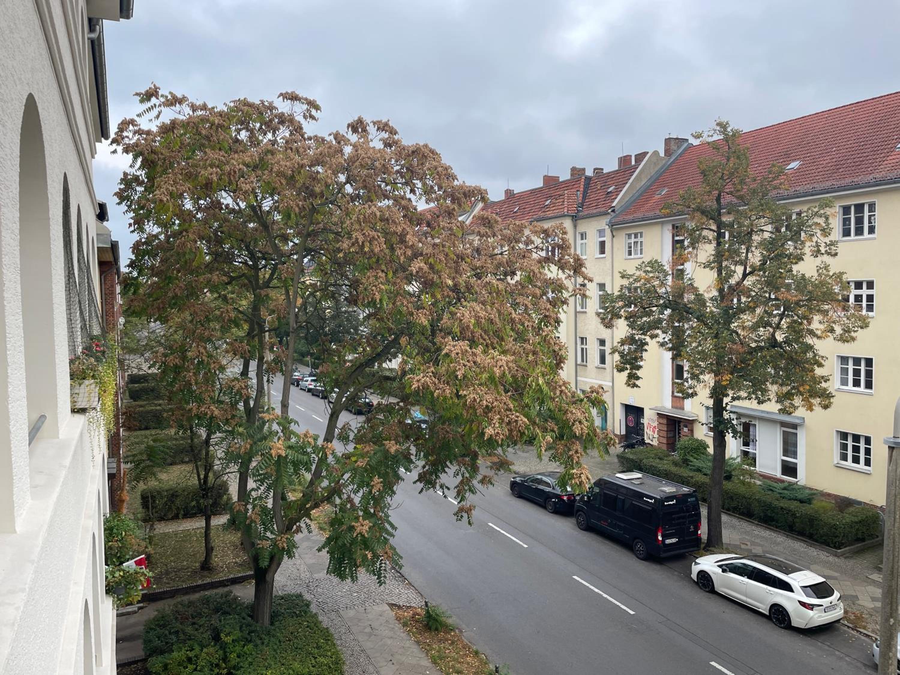 AnnApartment