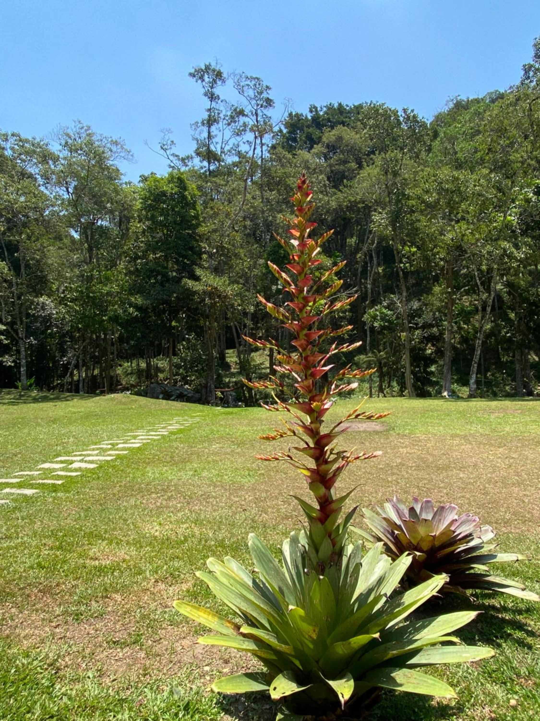 Matha Pousada e Bistrô