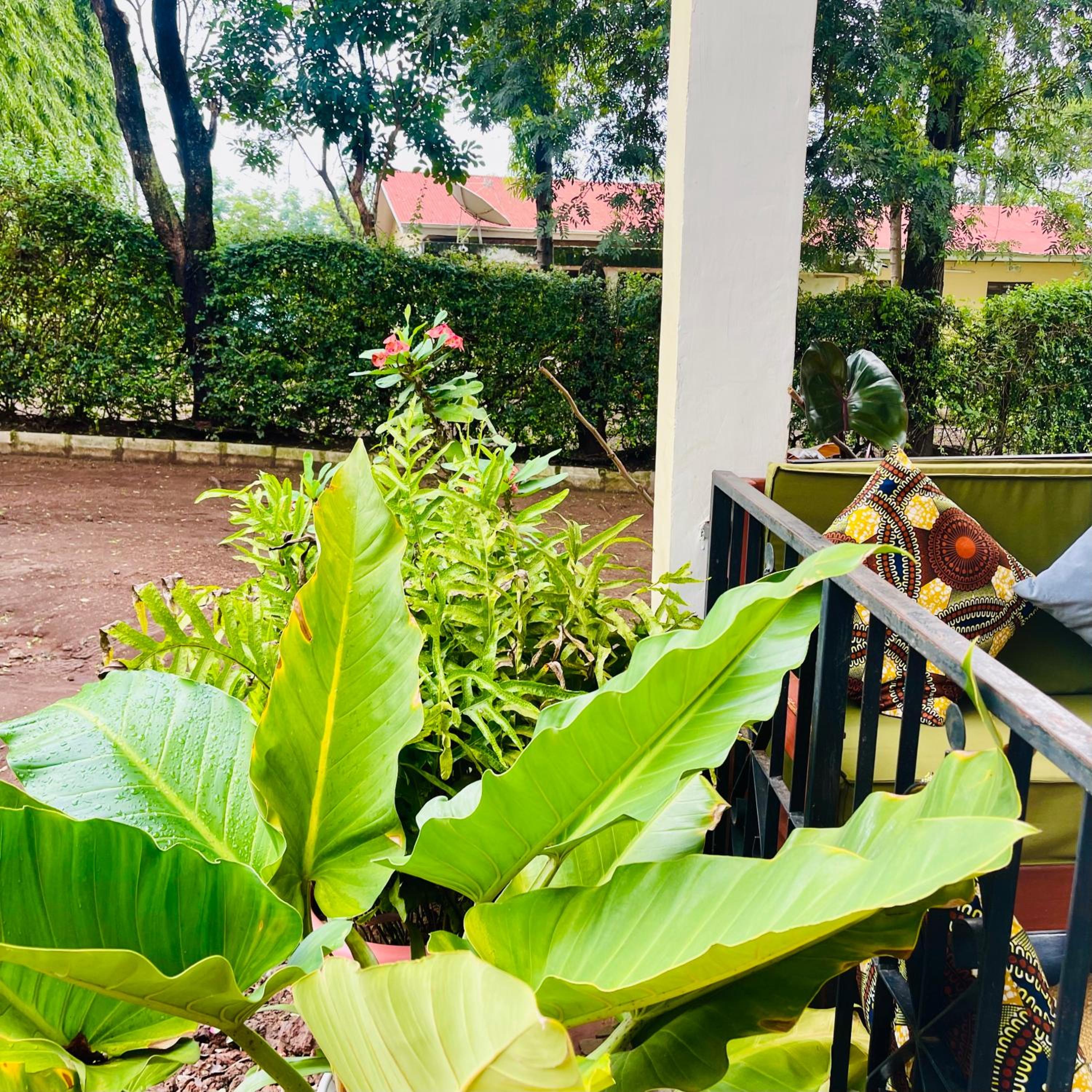 Sophie Homestay