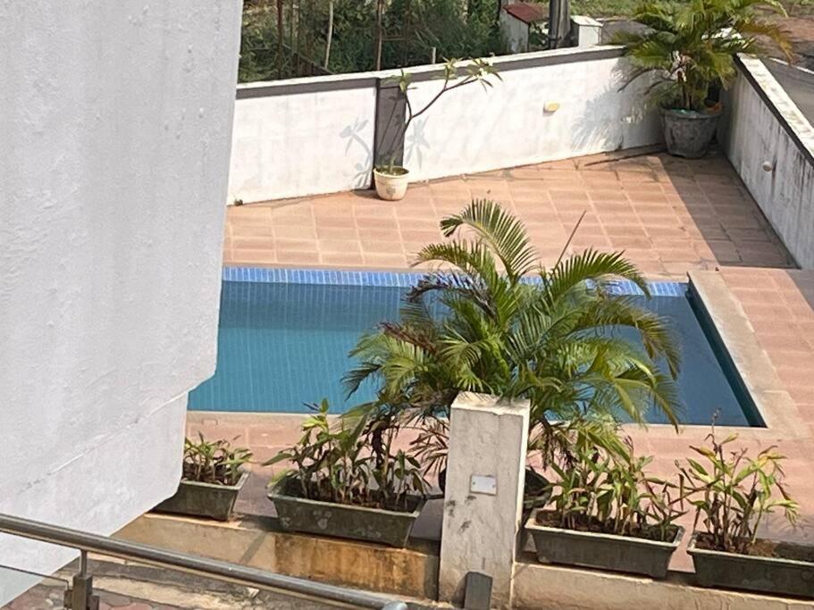 1 BHK Sunrise & Seaside Solitude view 4