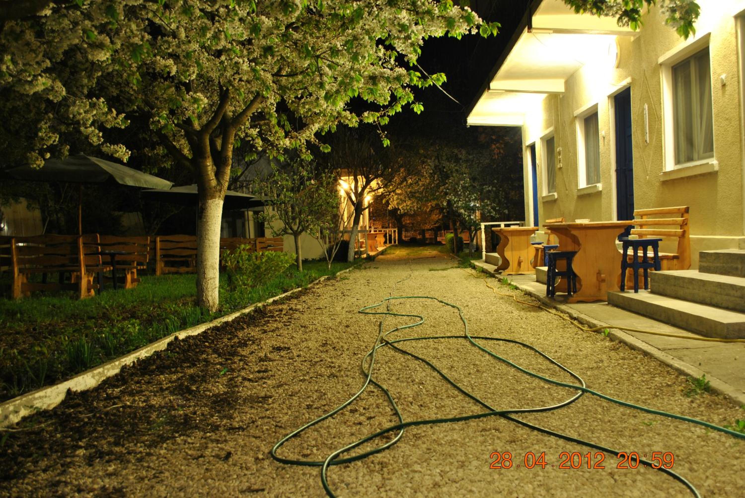 Photo 14