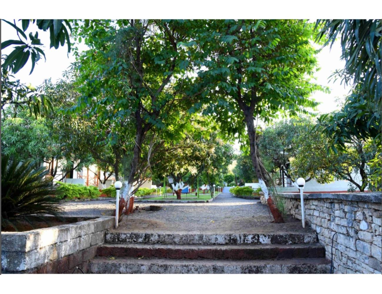 Glorious Gir Resort, Bhojde, Junagadh view 4