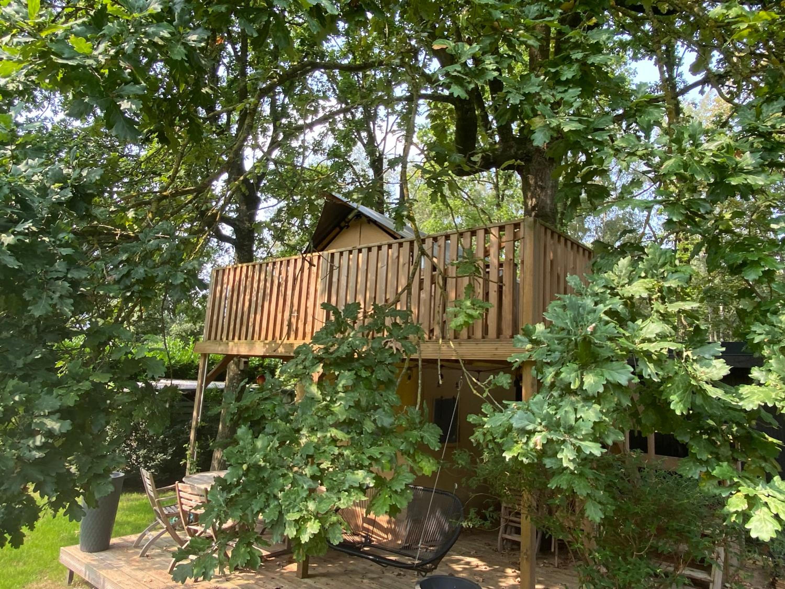 Kabana - eco forest suite