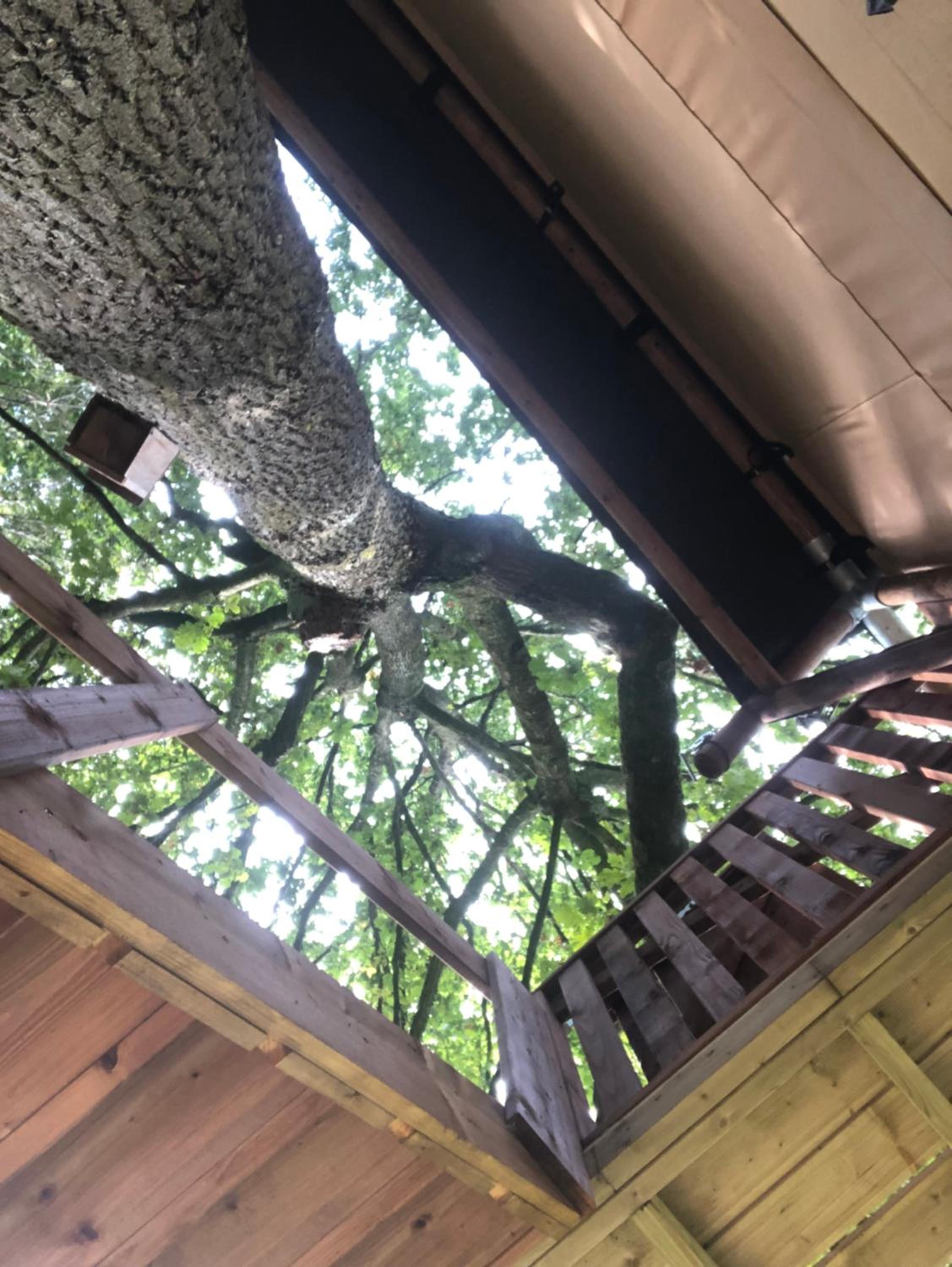 Kabana - eco forest suite