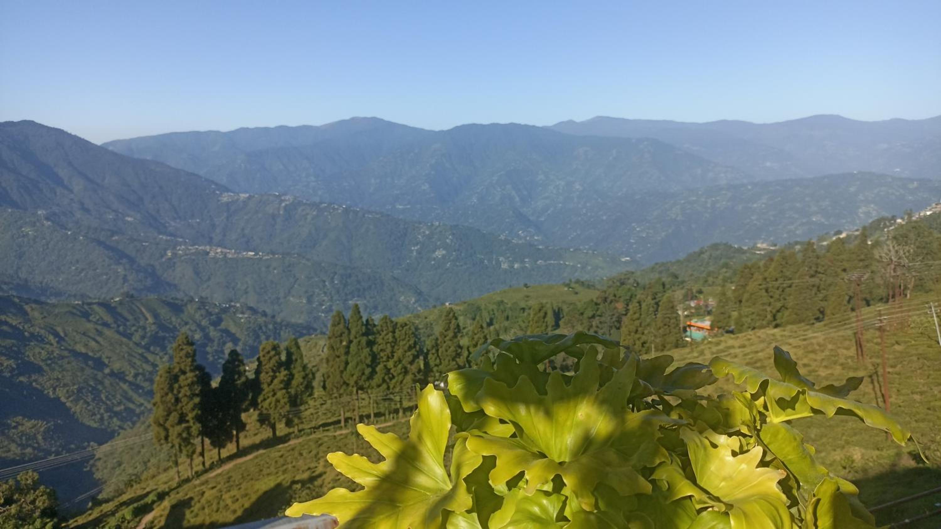 Valley View Homestay