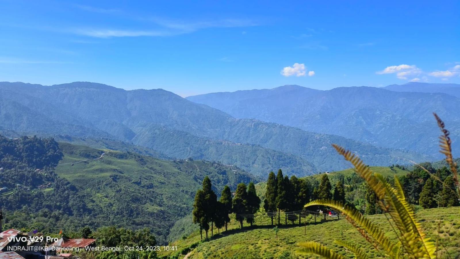 Valley View Homestay