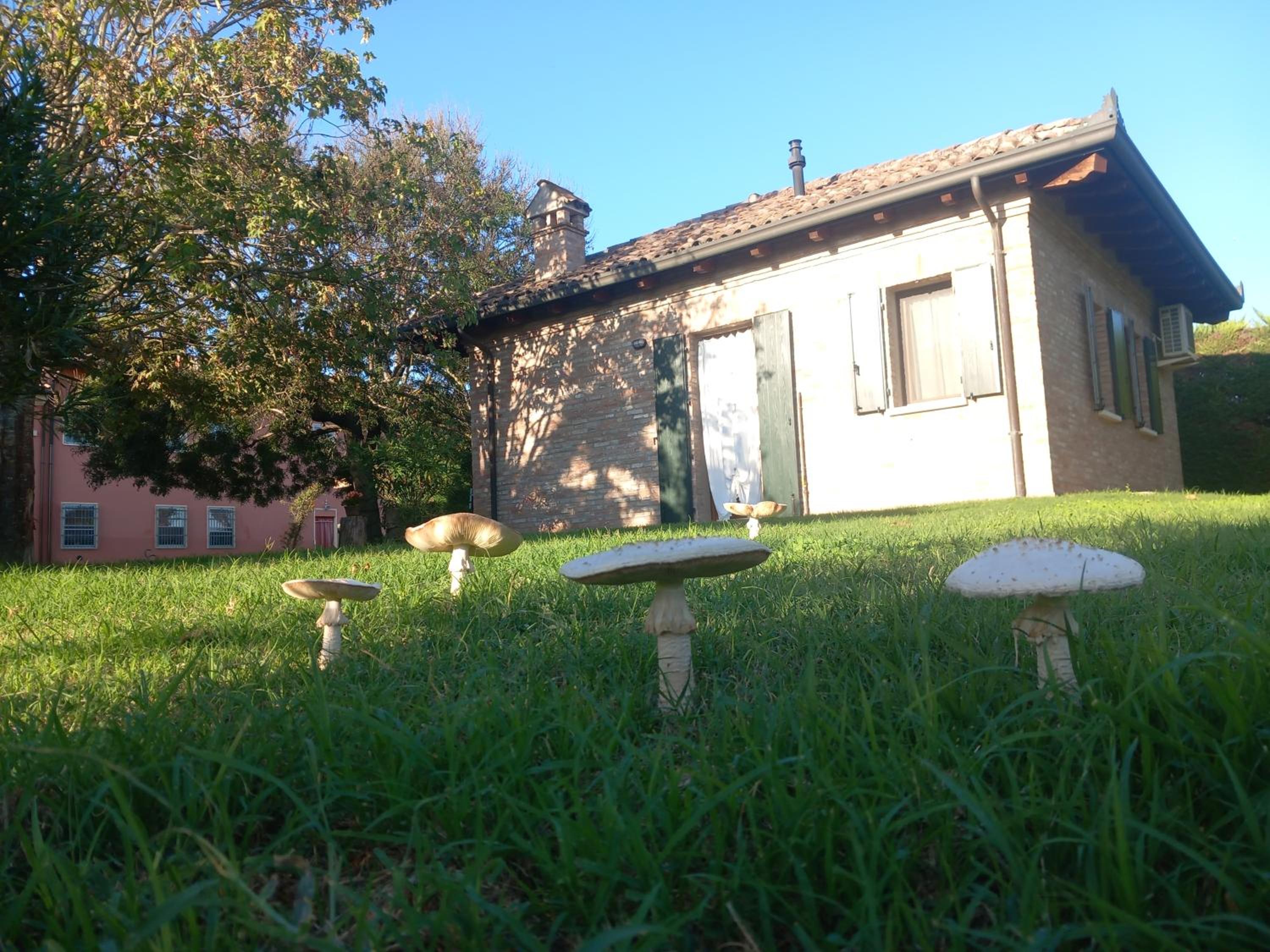 Photo 32