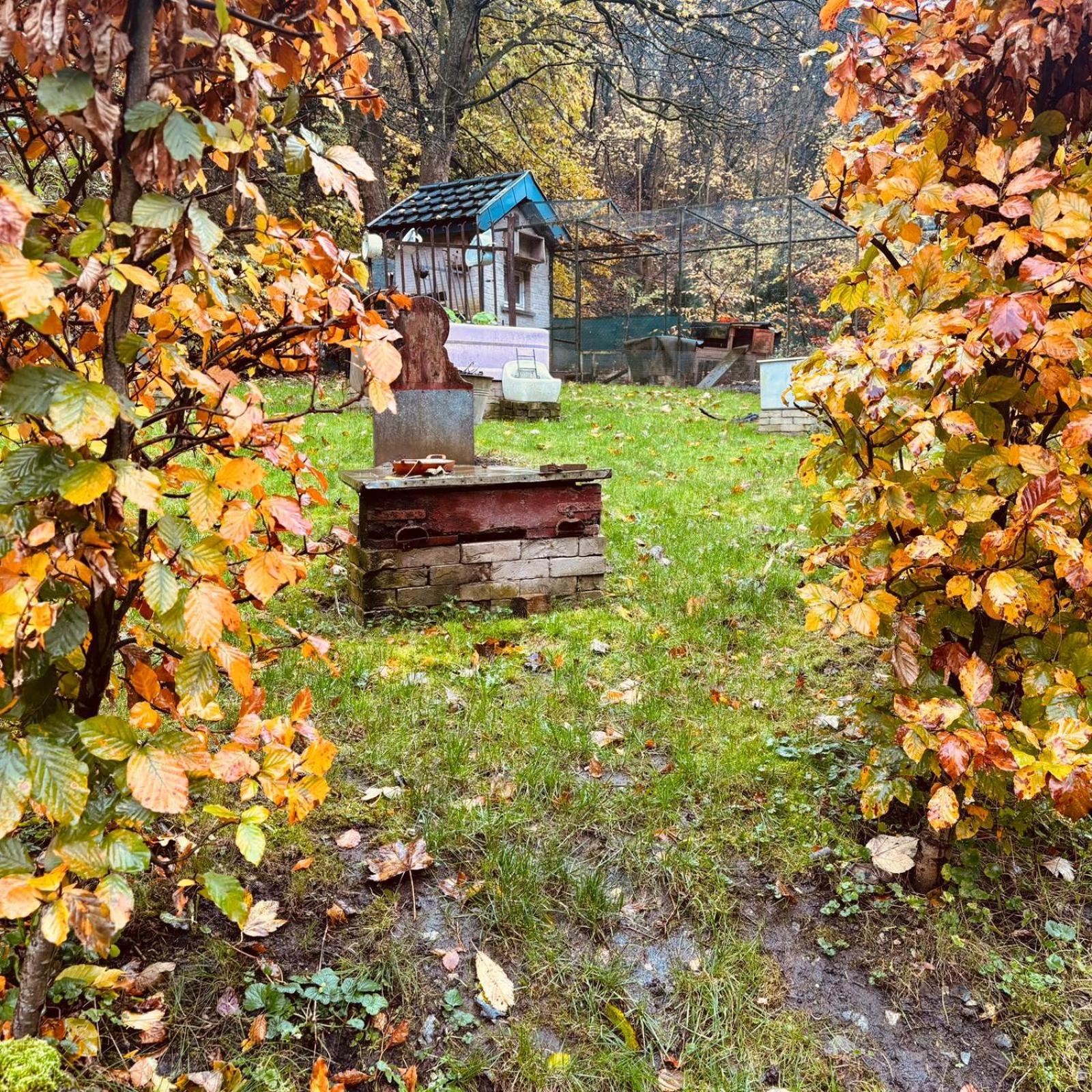 Gîte La Chevrière