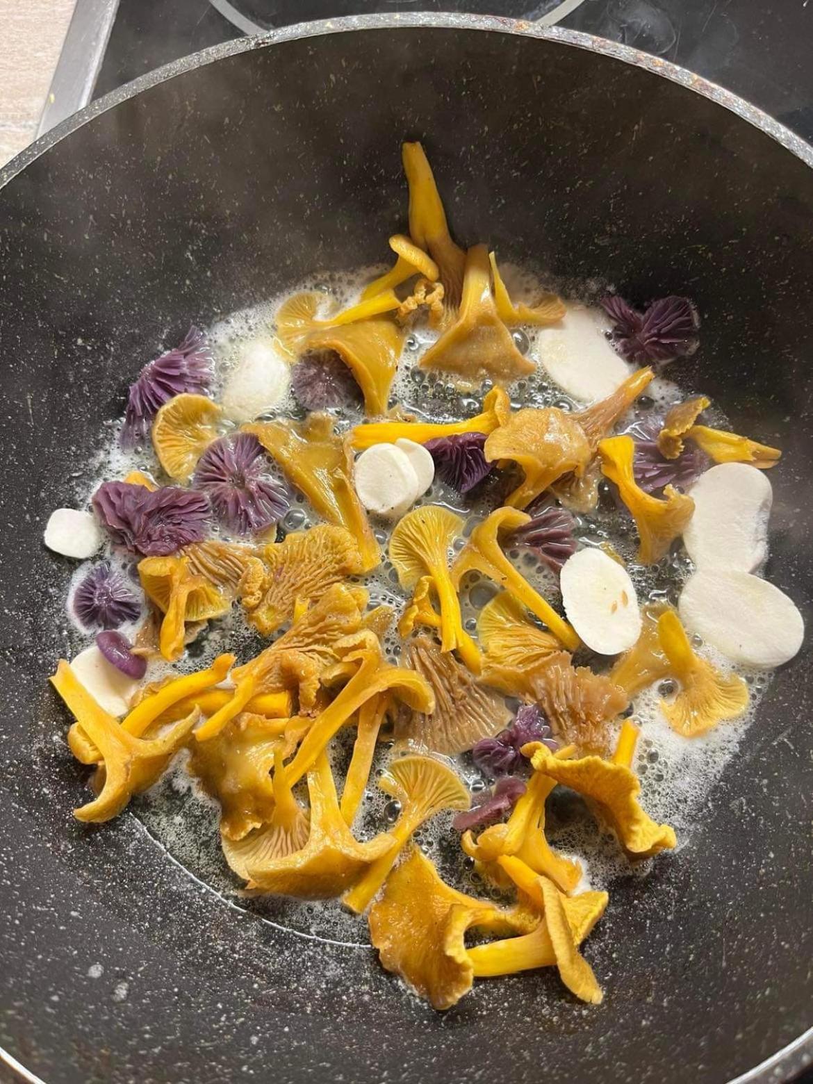 Chalupa ve Sněžném