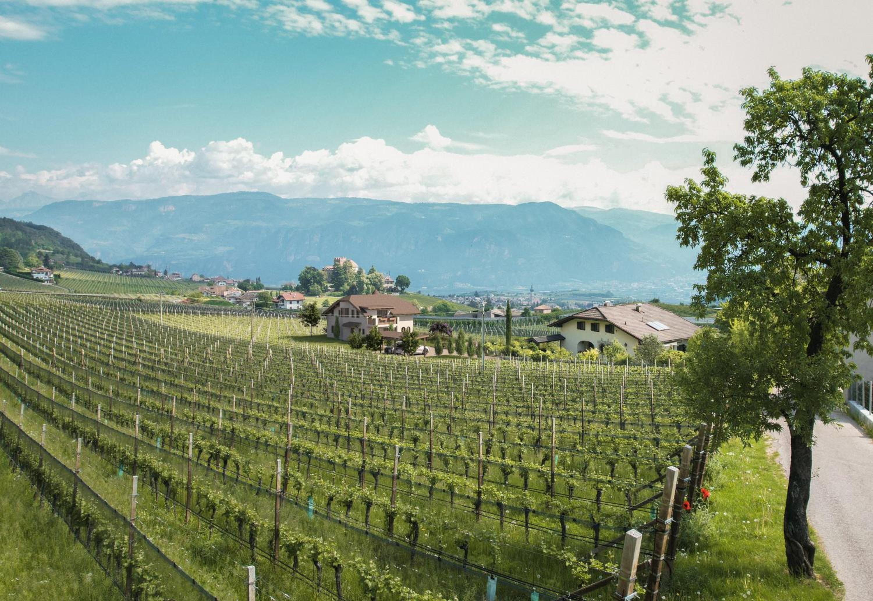 Valentinerhof Apt Terra view 4