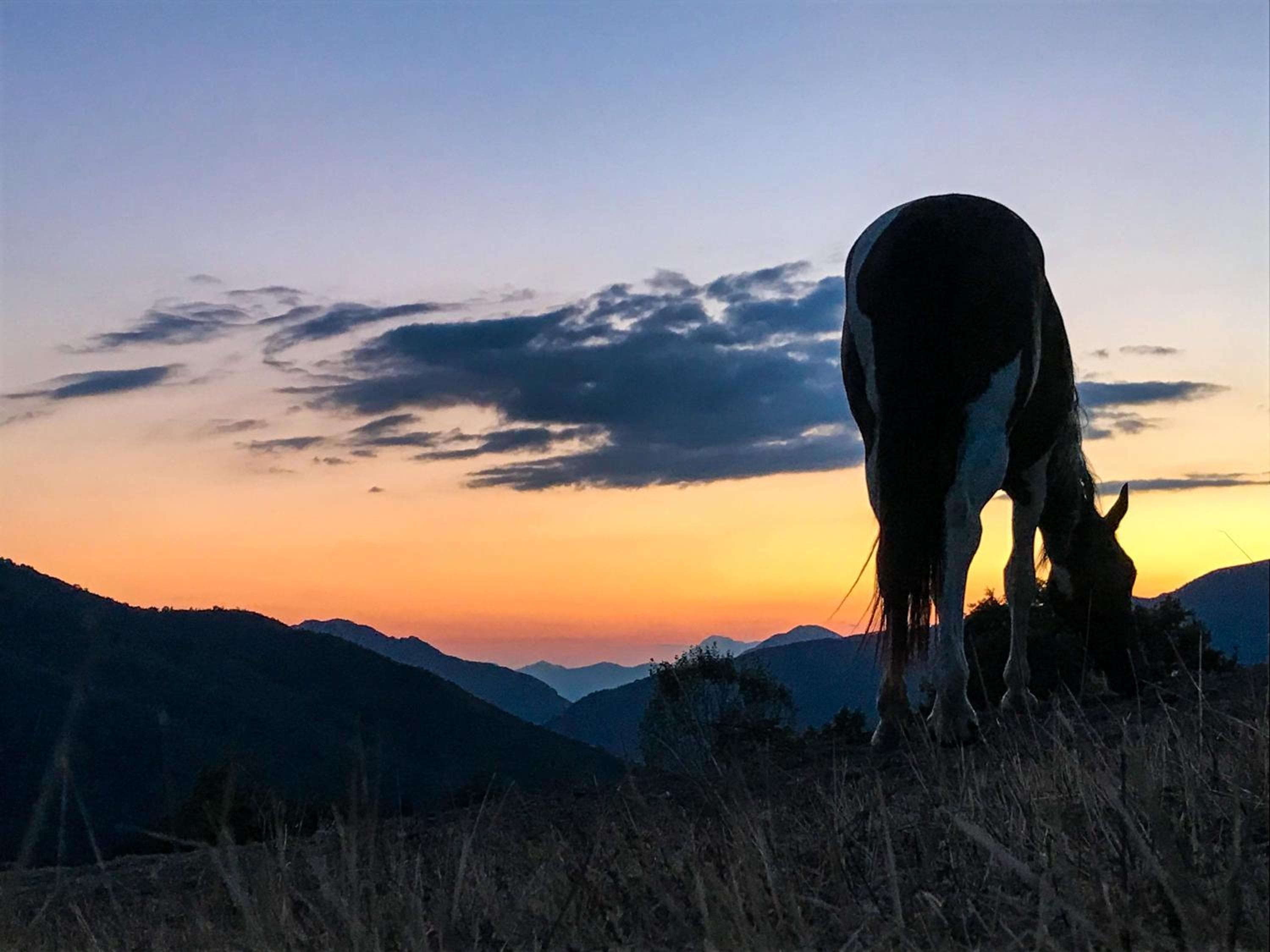 Il Borrino