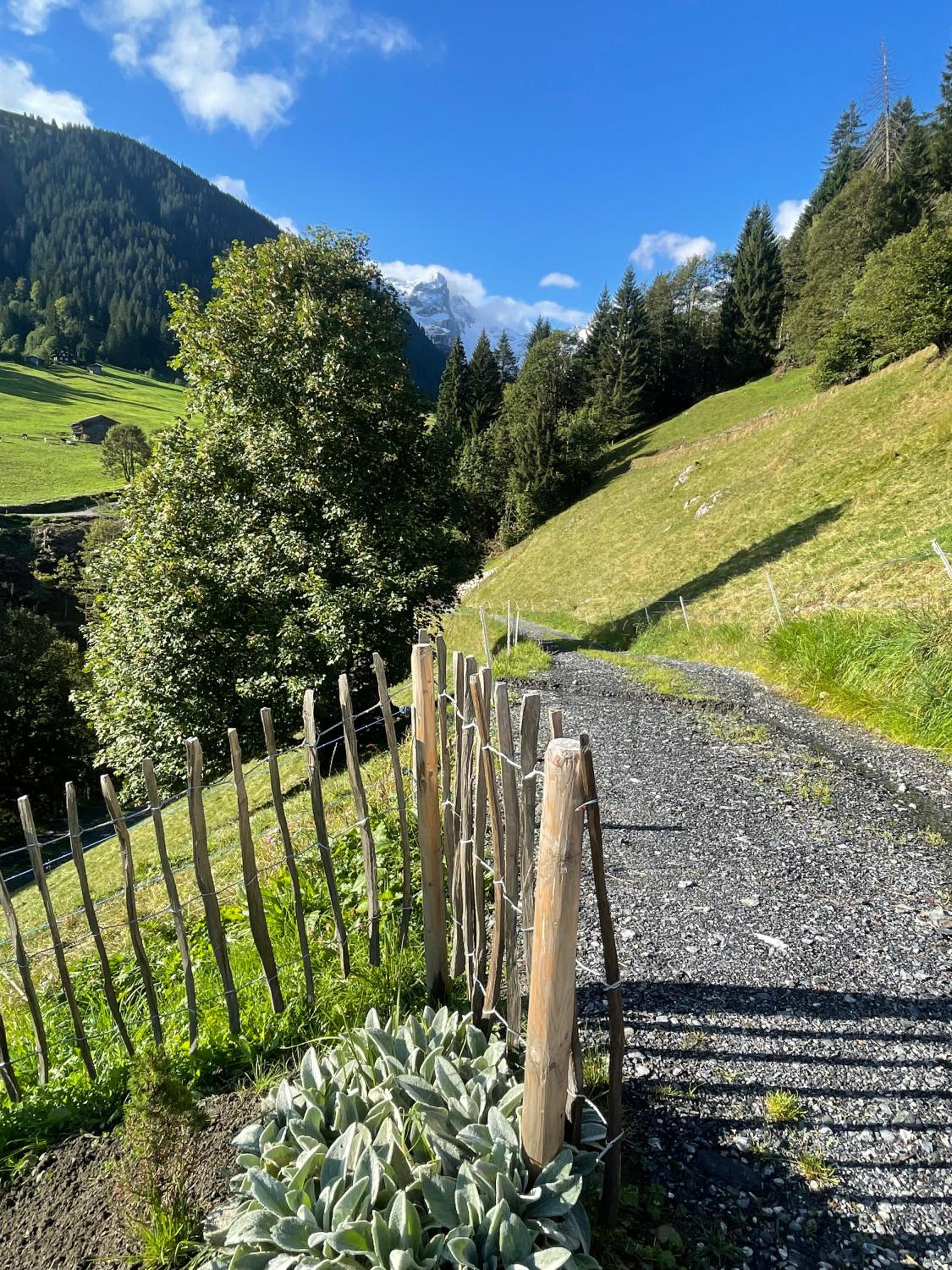 Alpenchalet Piz Hüsli