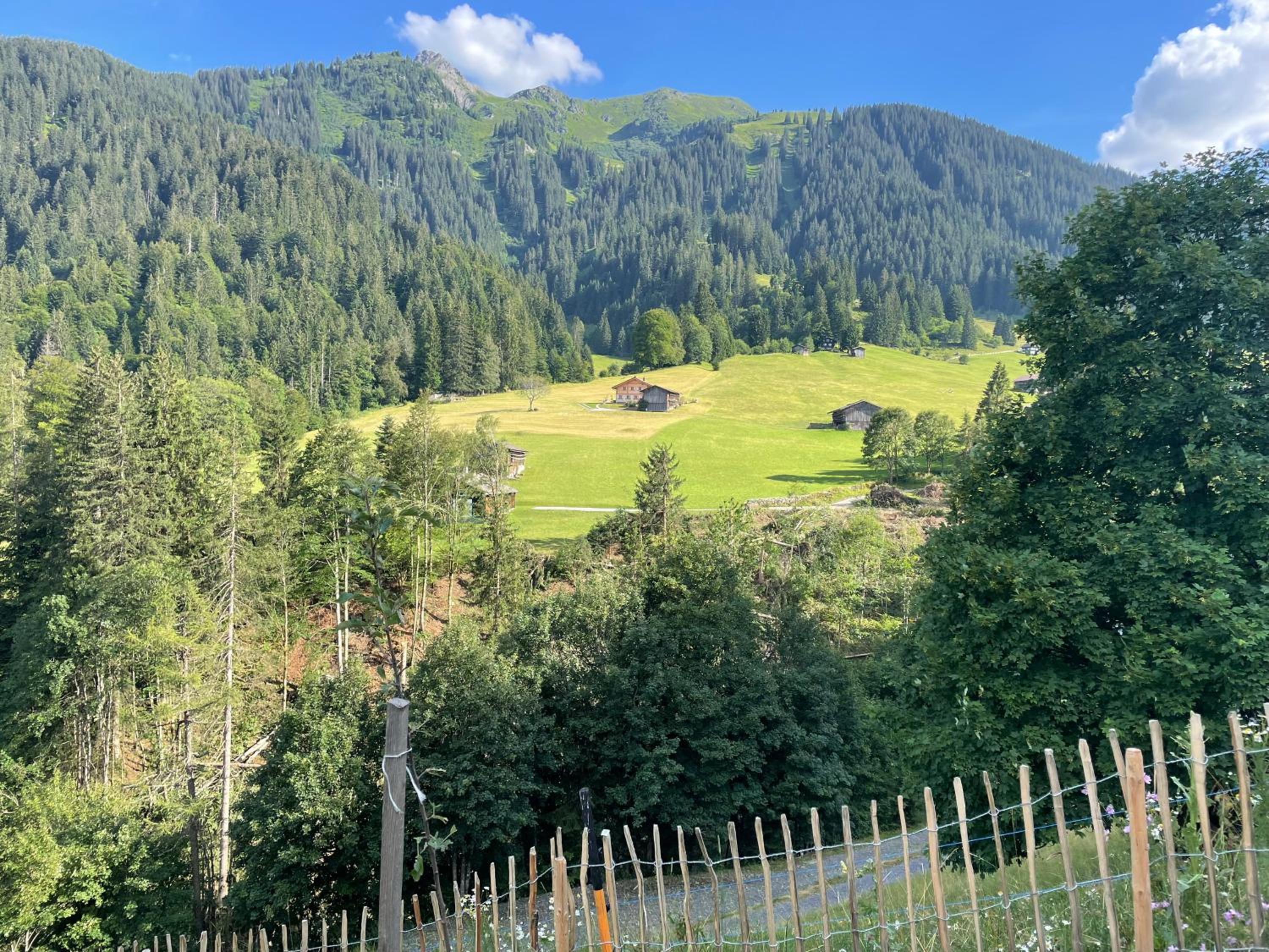 Alpenchalet Piz Hüsli